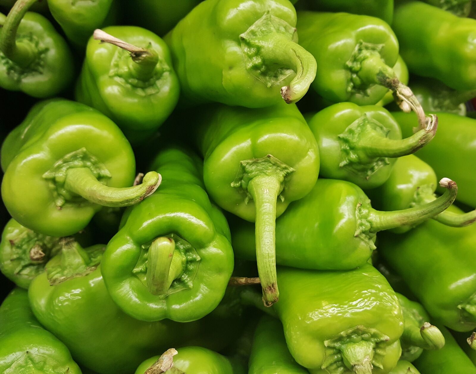 Samsung Galaxy Note5 sample photo. Anaheim peppers, chiles, chili photography