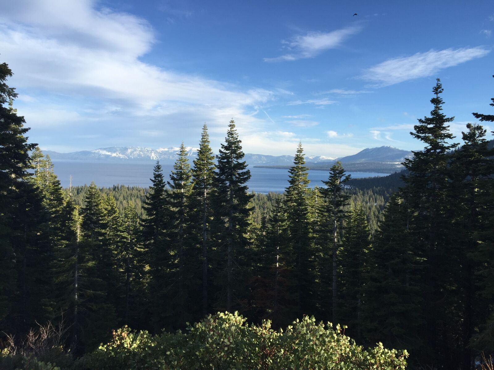 iPhone 6 Plus back camera 4.15mm f/2.2 sample photo. Lake tahoe, trees, mountain photography
