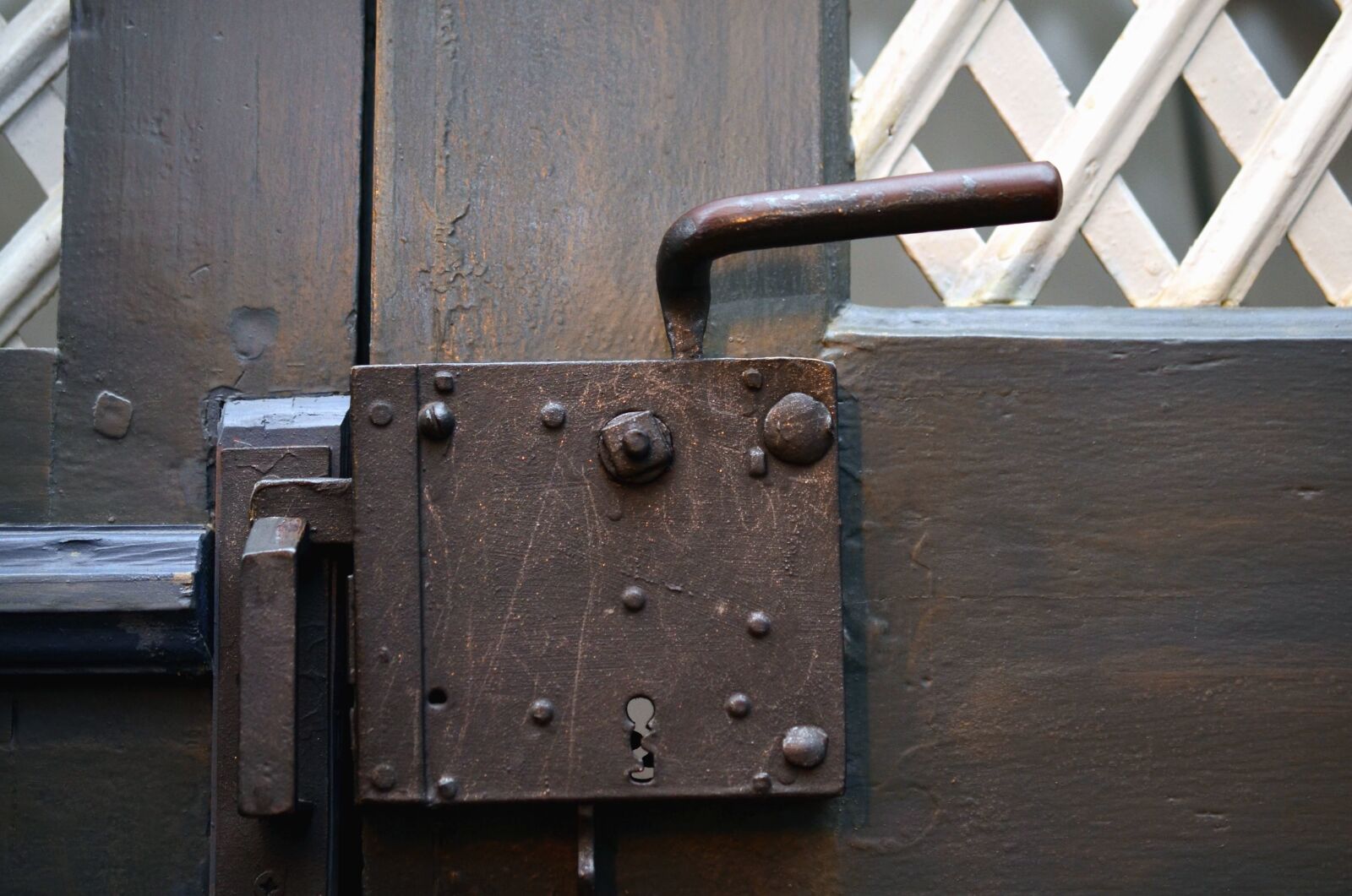 Nikon D5100 sample photo. Front door, metal, locks photography