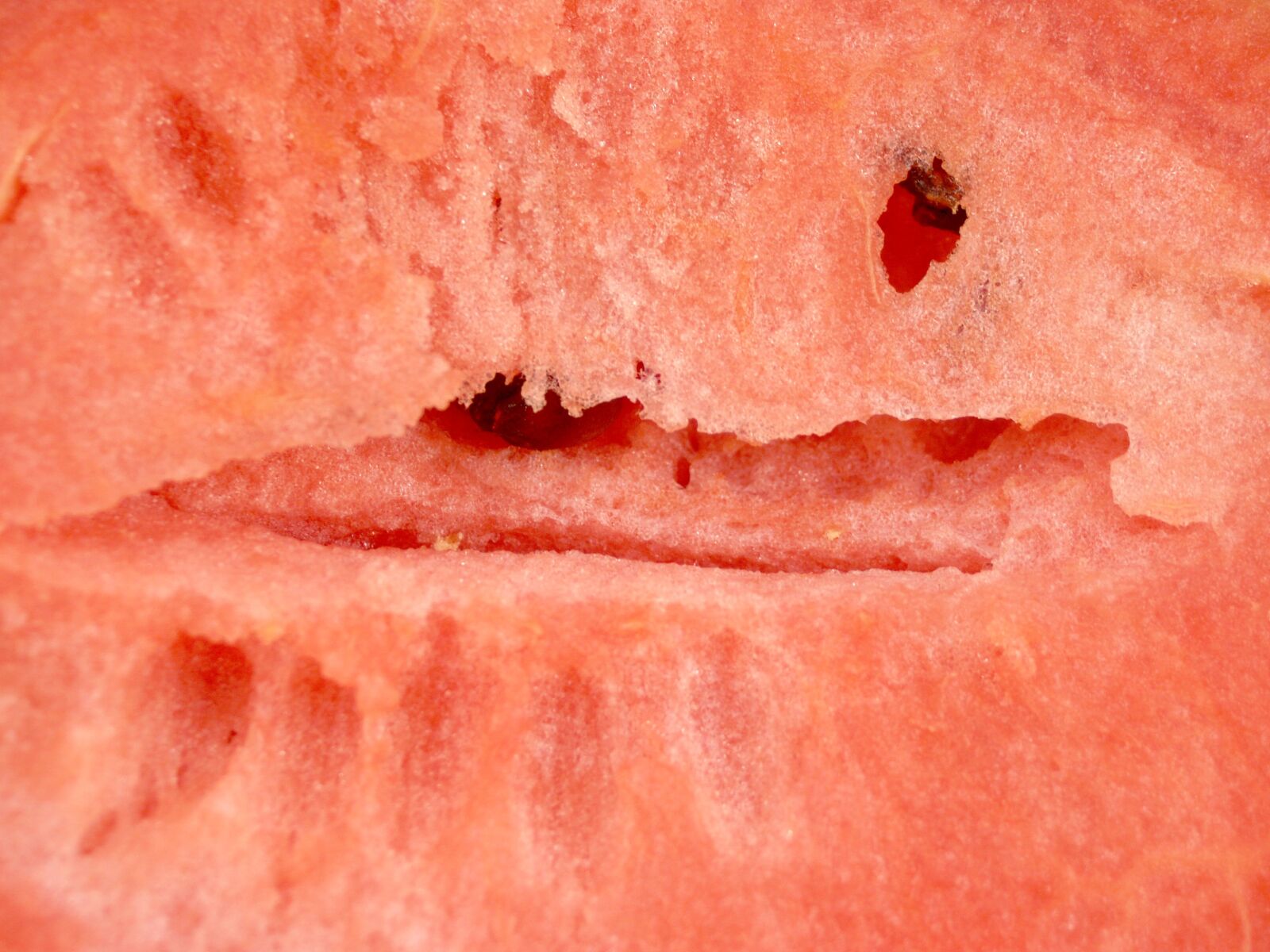 Olympus E-300 (EVOLT E-300) sample photo. Watermelon, slice, isolated photography