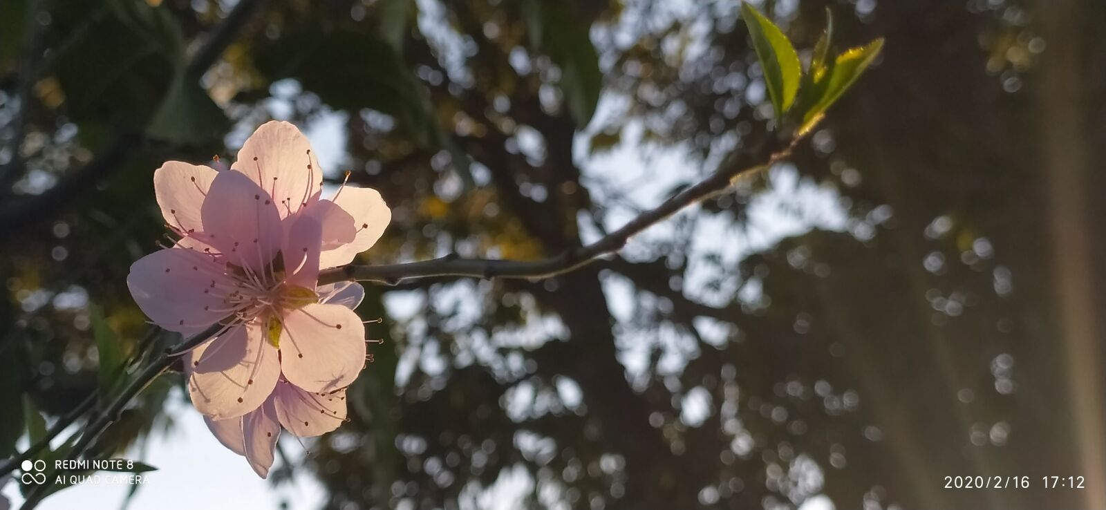 Xiaomi Redmi Note 8 sample photo. Ramadan kareem, ramadan mubarak photography