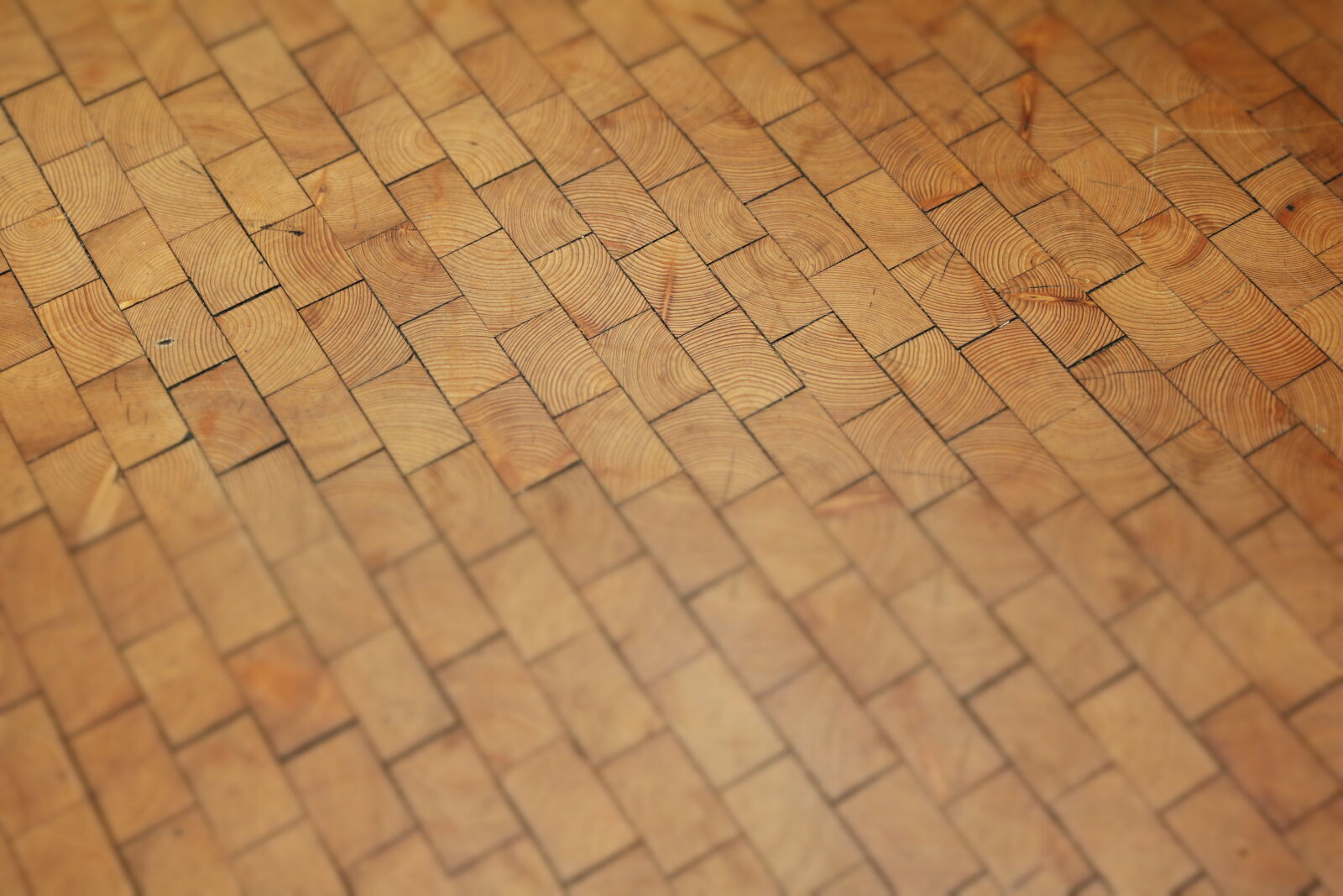 Canon EOS 750D (EOS Rebel T6i / EOS Kiss X8i) sample photo. Pattern, wooden, floor photography