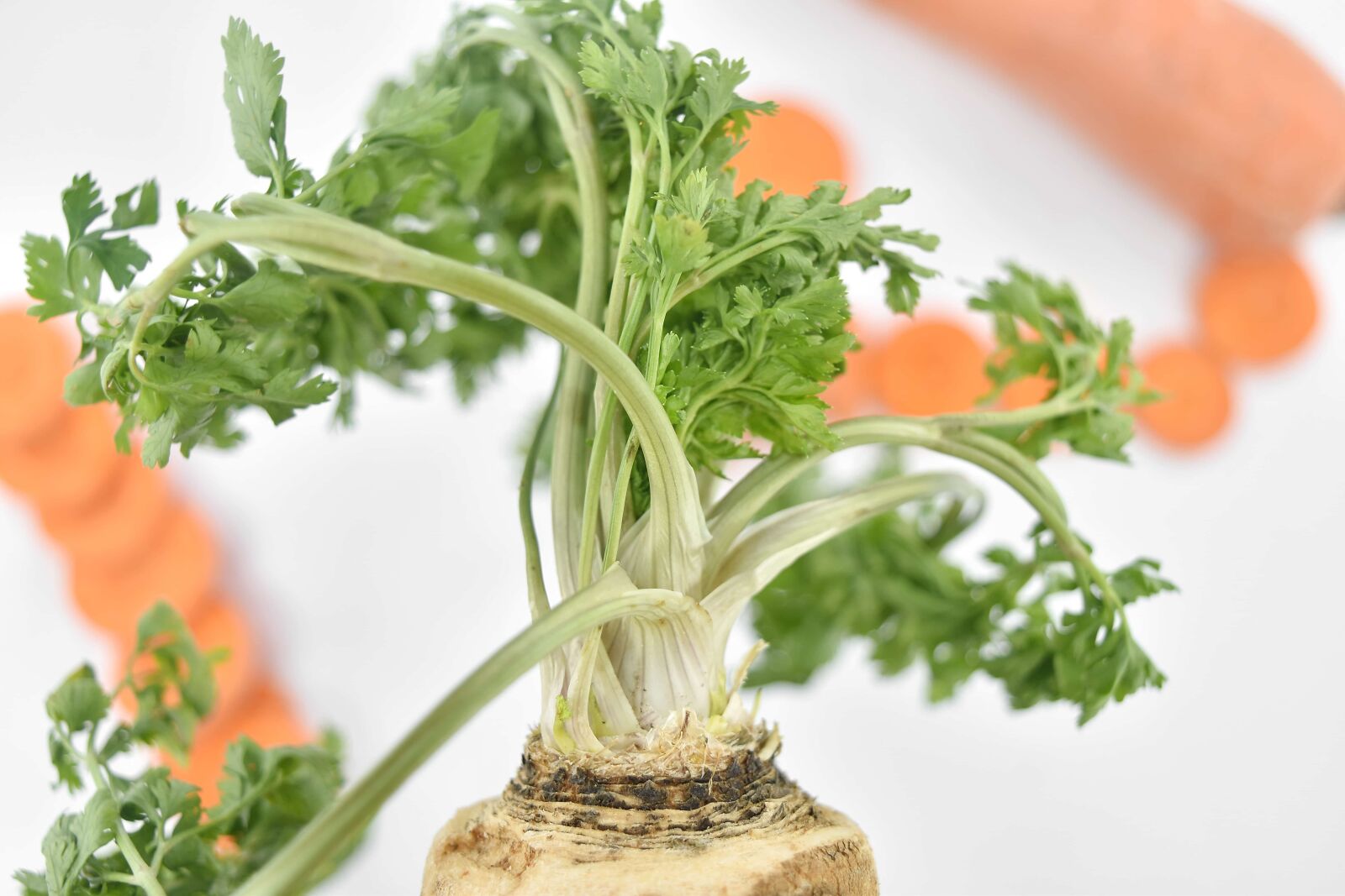 Nikon D5500 sample photo. Details, vegetables, food, lunch photography