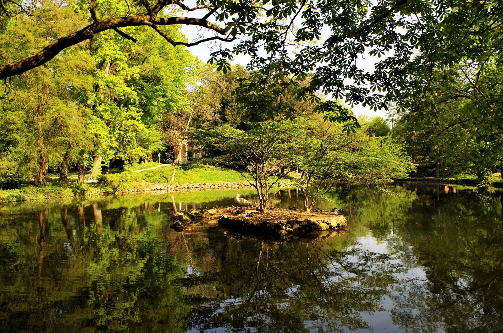 Pentax K-50 sample photo. Park, green, pond photography