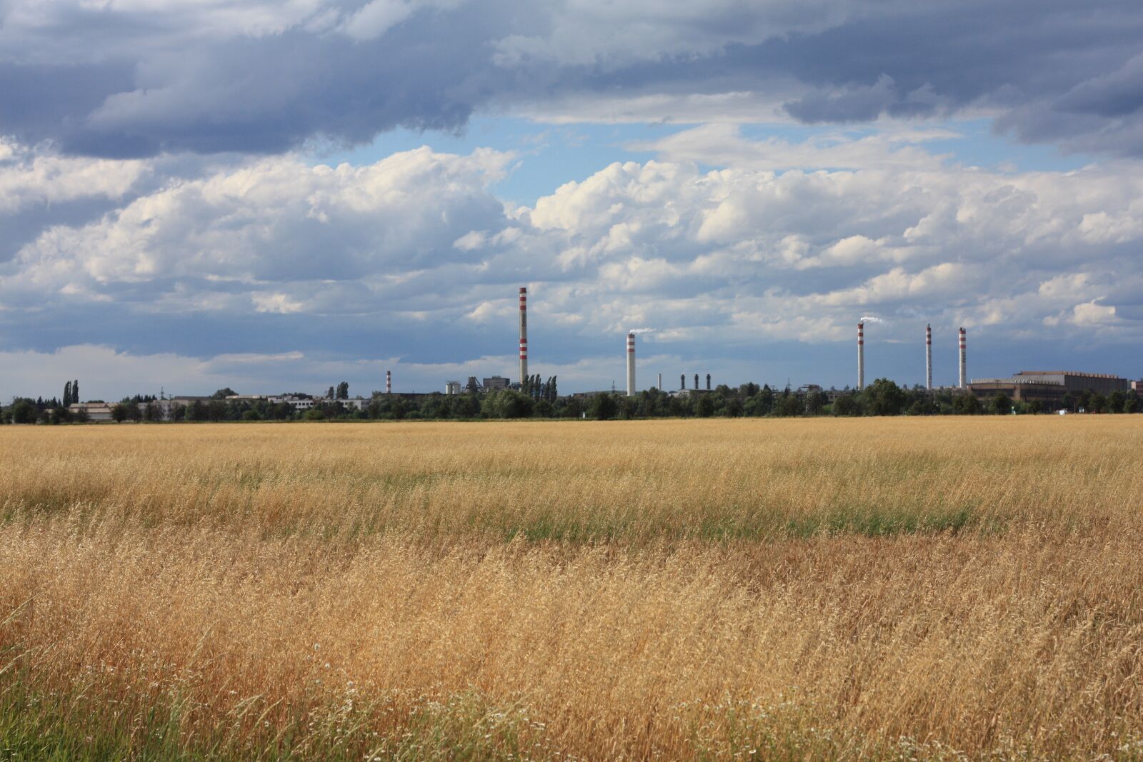 Canon EOS 450D (EOS Rebel XSi / EOS Kiss X2) sample photo. Landscape, field, sky photography