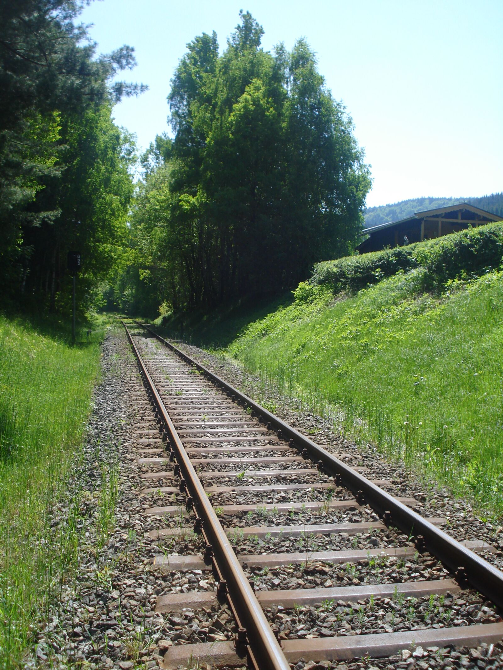 Sony DSC-W35 sample photo. Track, summer, train photography