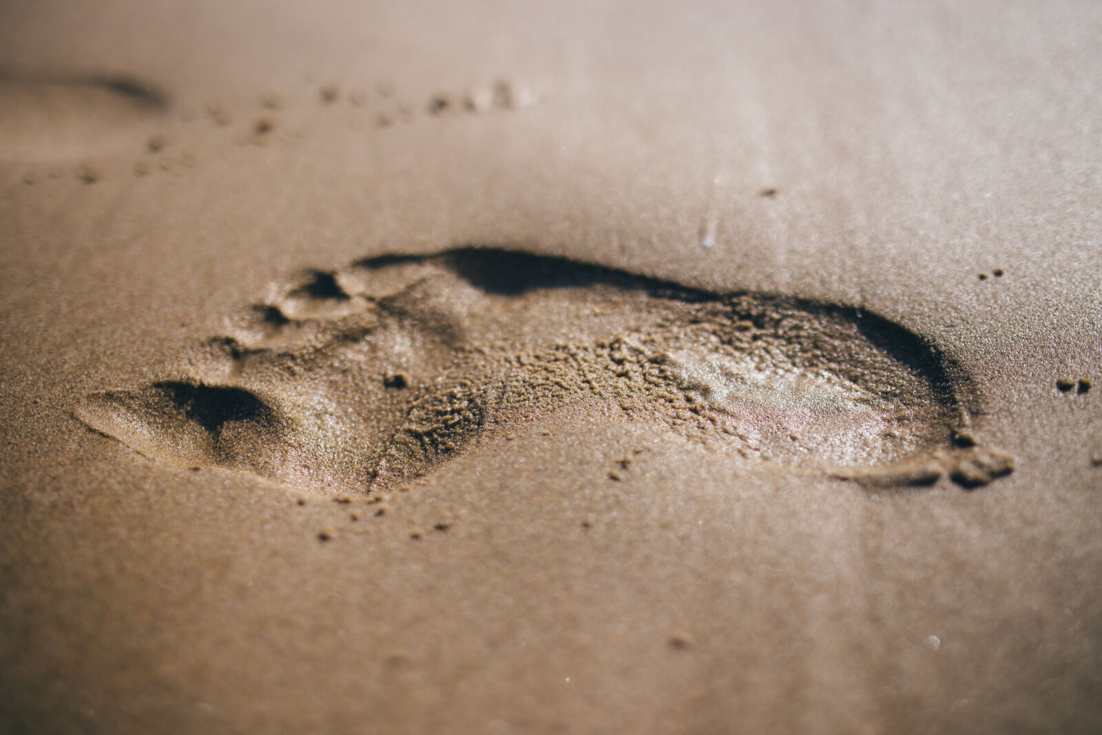 Canon EOS 6D + Sigma 35mm F1.4 DG HSM Art sample photo. Beach, sand, feet, footprint photography