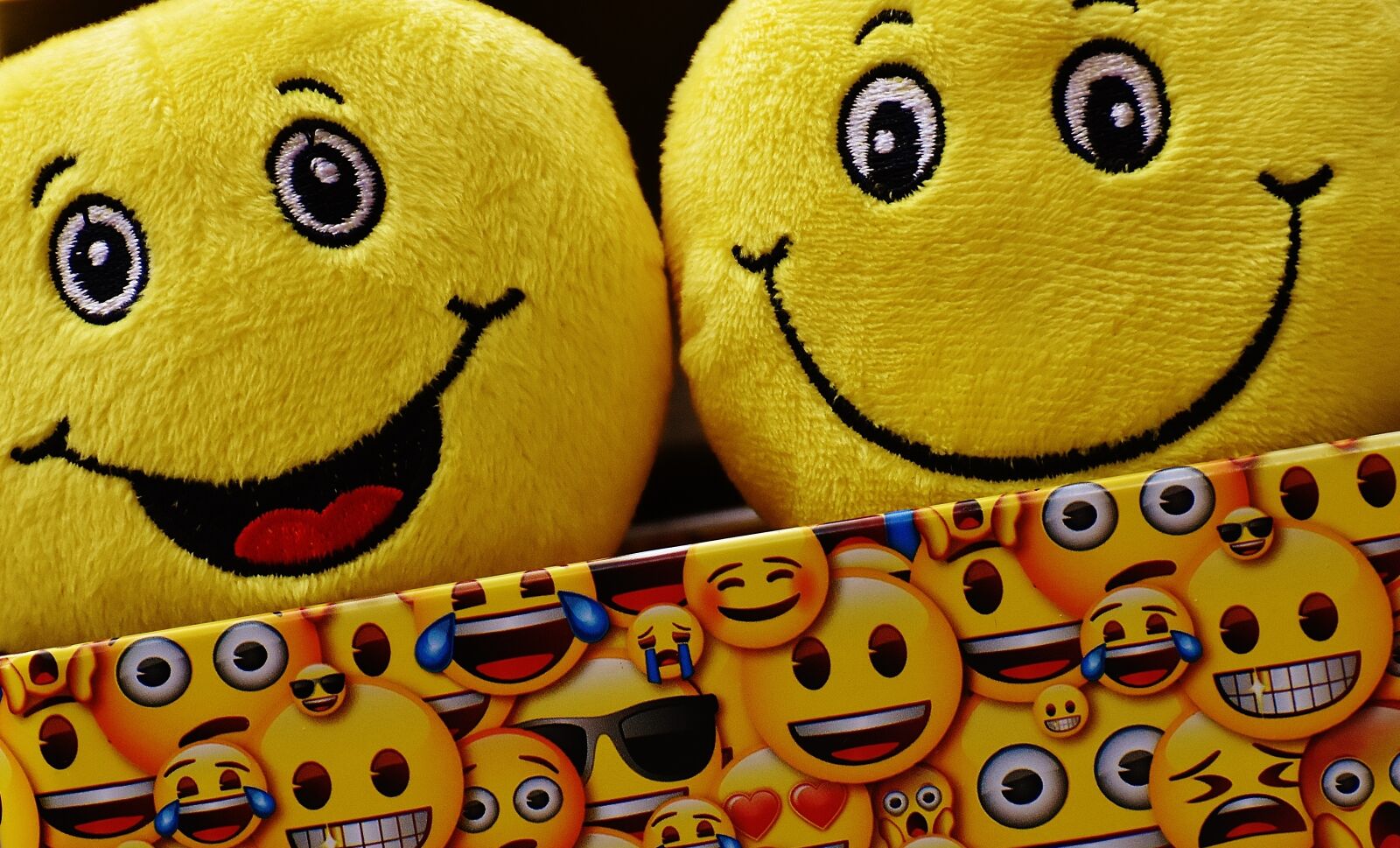 Nikon D7200 sample photo. Smilies, yellow, funny photography