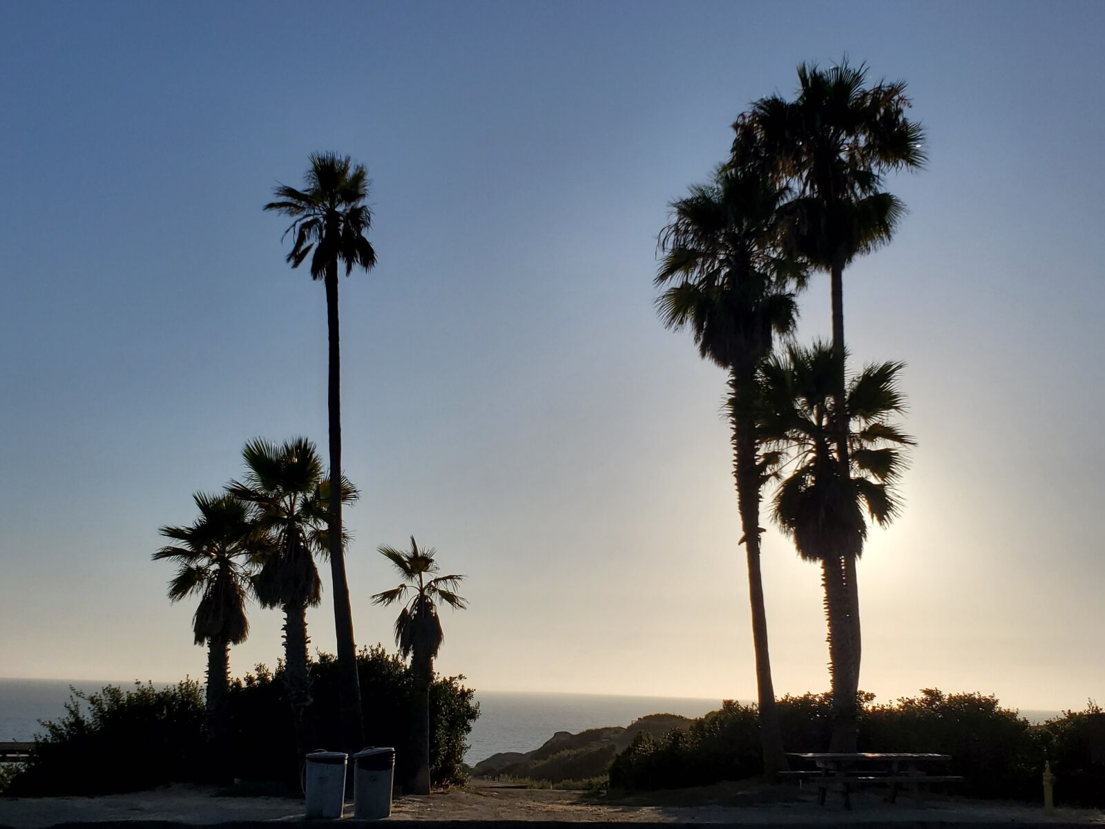Samsung Galaxy S10 sample photo. Palm trees, beach, san photography