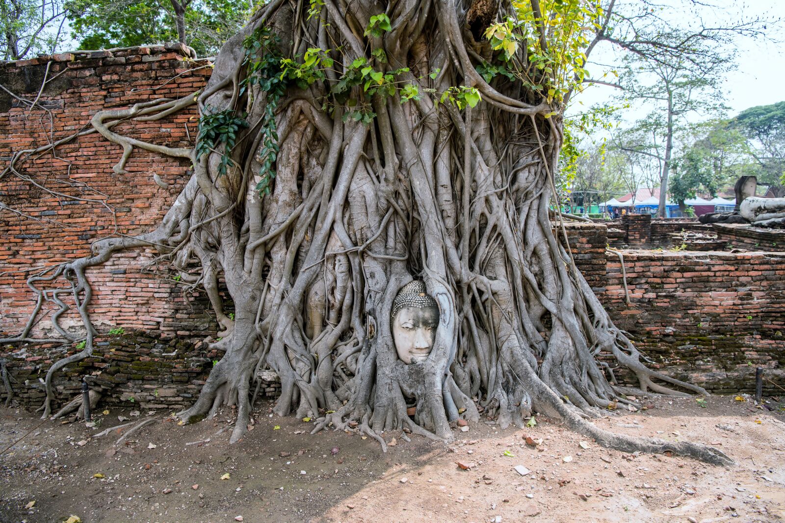 Nikon D850 sample photo. Thailand, ayutthaya, ruins photography