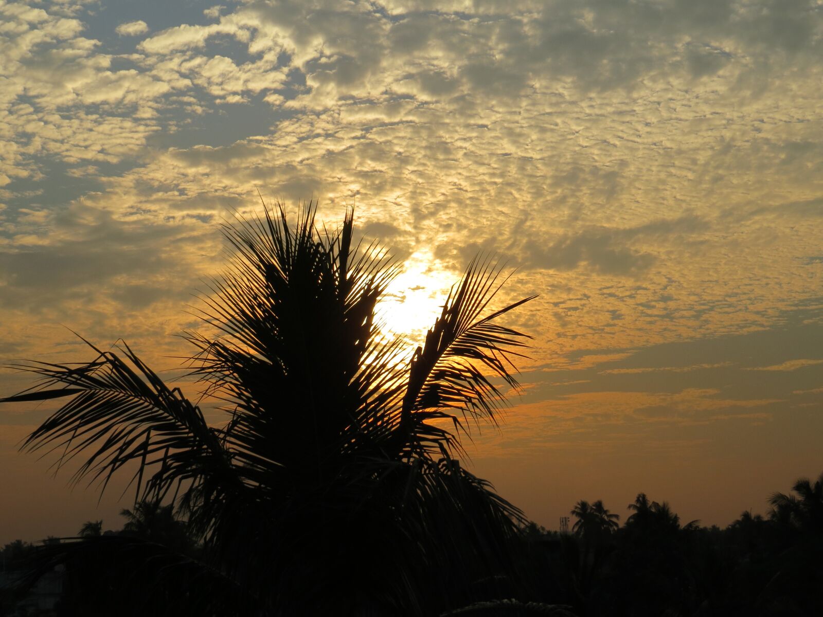 Canon PowerShot SX50 HS sample photo. Cotton sky, sky, different photography