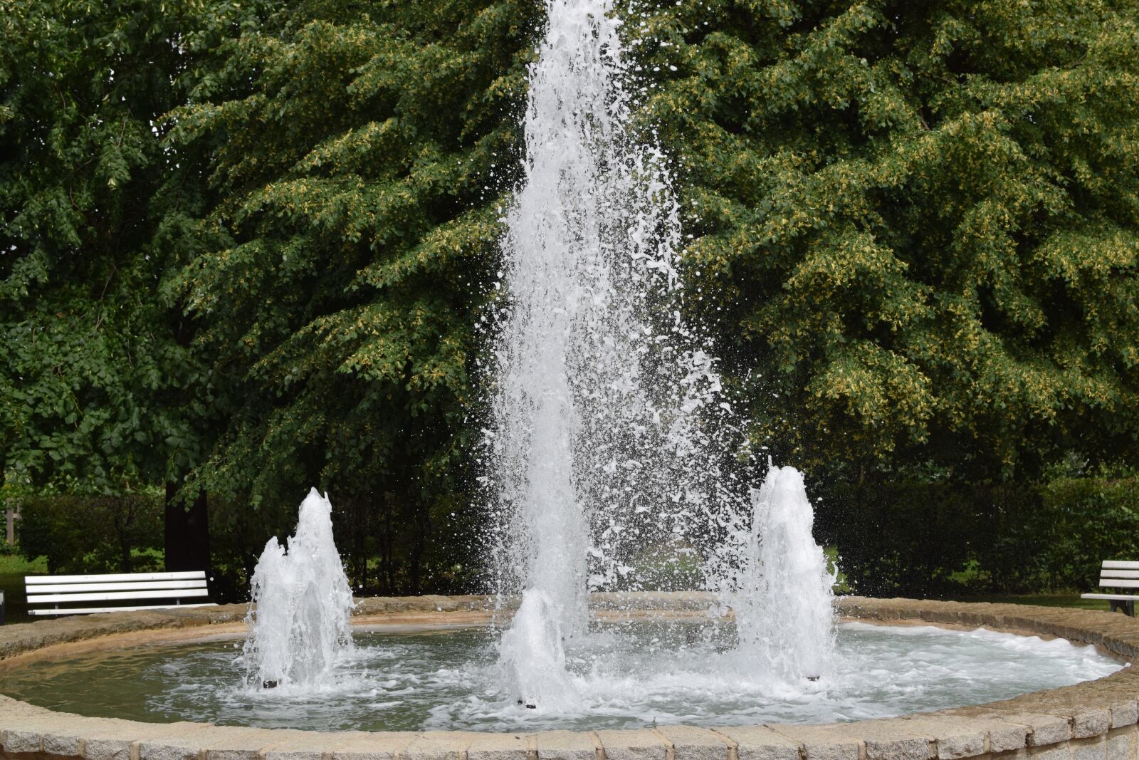 Nikon D5300 sample photo. Fountain, park, water photography