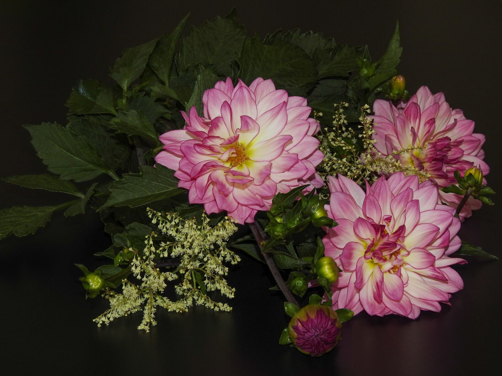 Nikon Coolpix P900 sample photo. Three dahlen flowers, pink photography