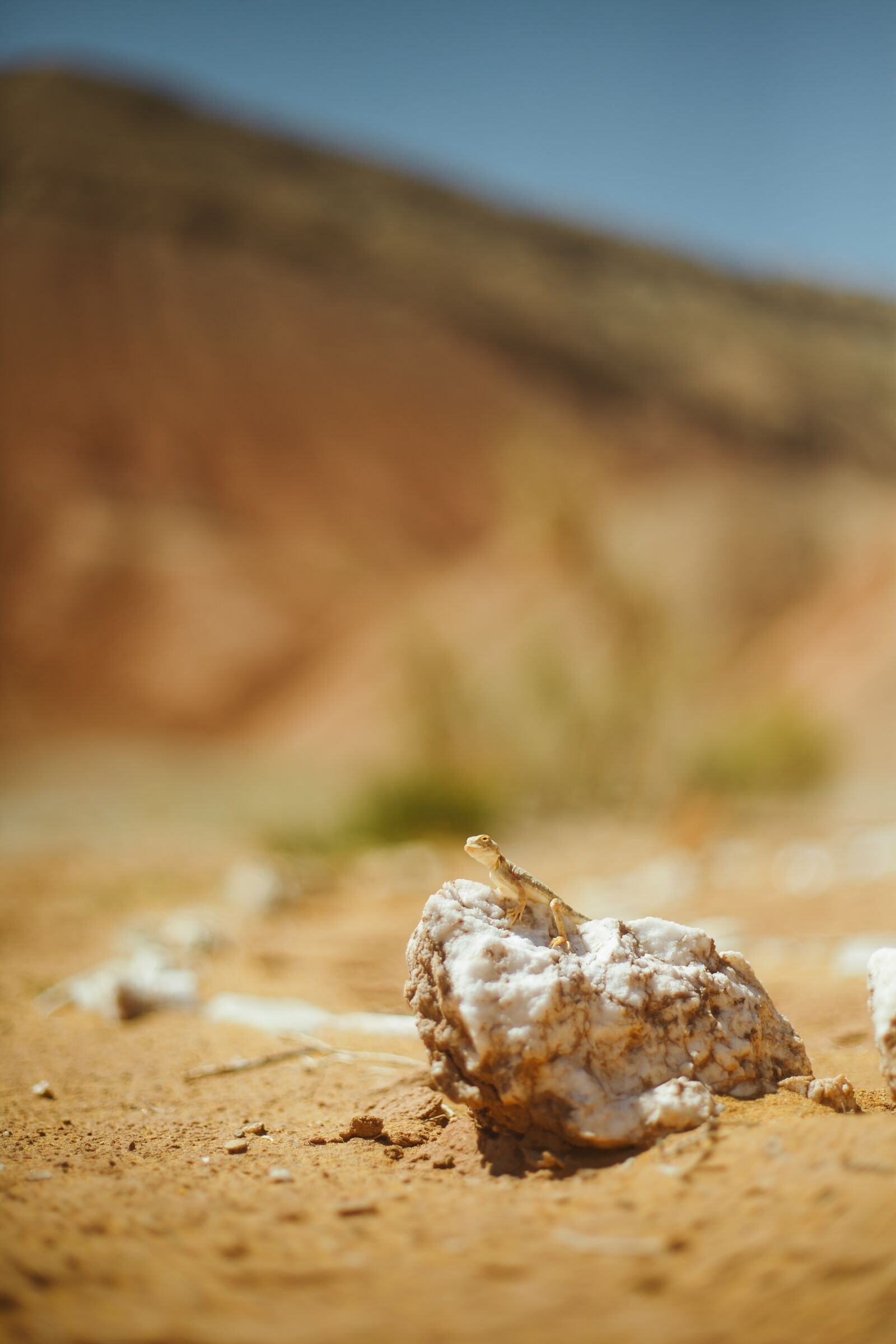Canon EF 50mm F1.8 II sample photo. Visitalmaty, almaty, canyon photography
