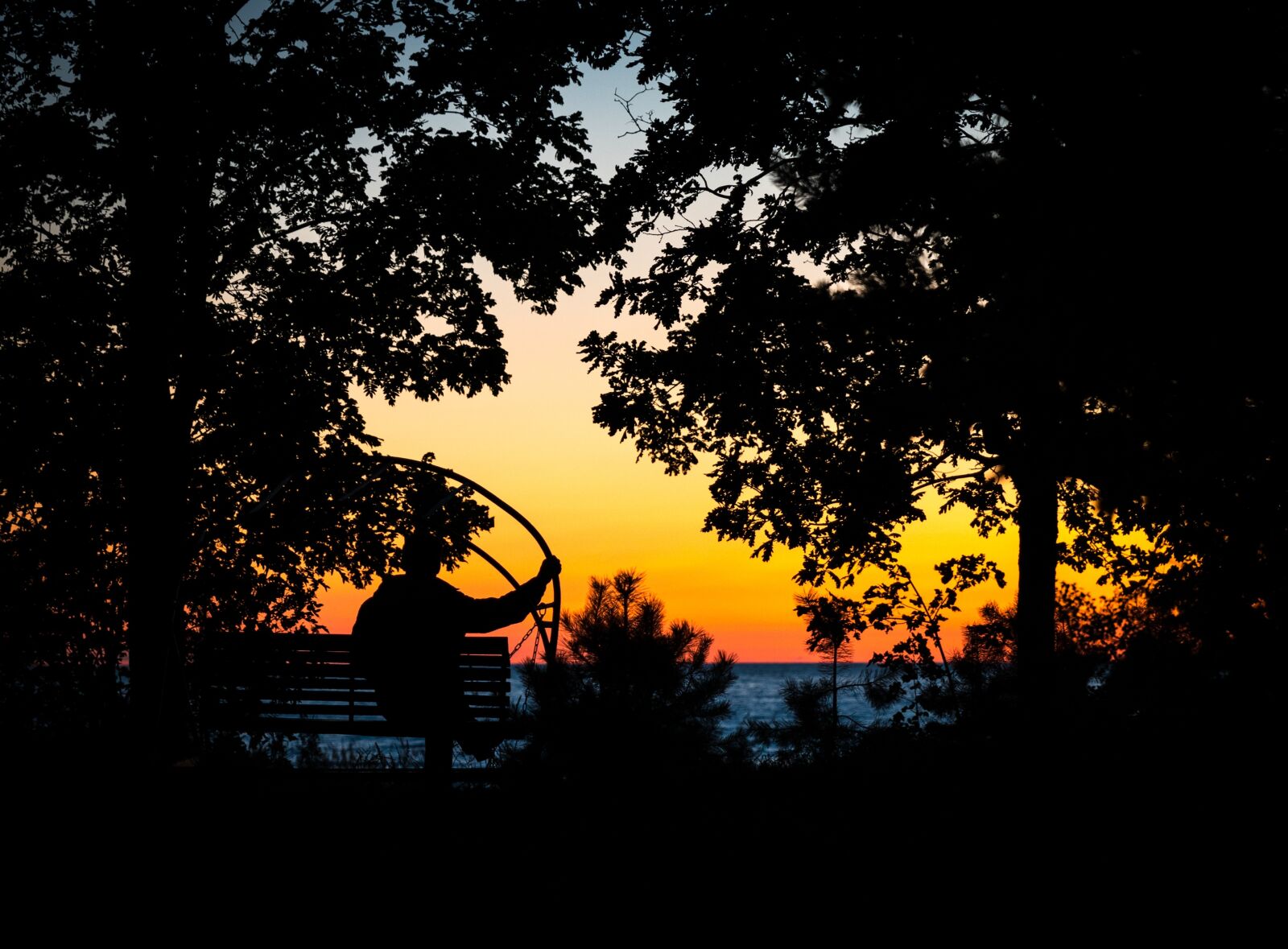 Canon EF 24-70mm F2.8L II USM sample photo. Trees, sunset, silhouette photography