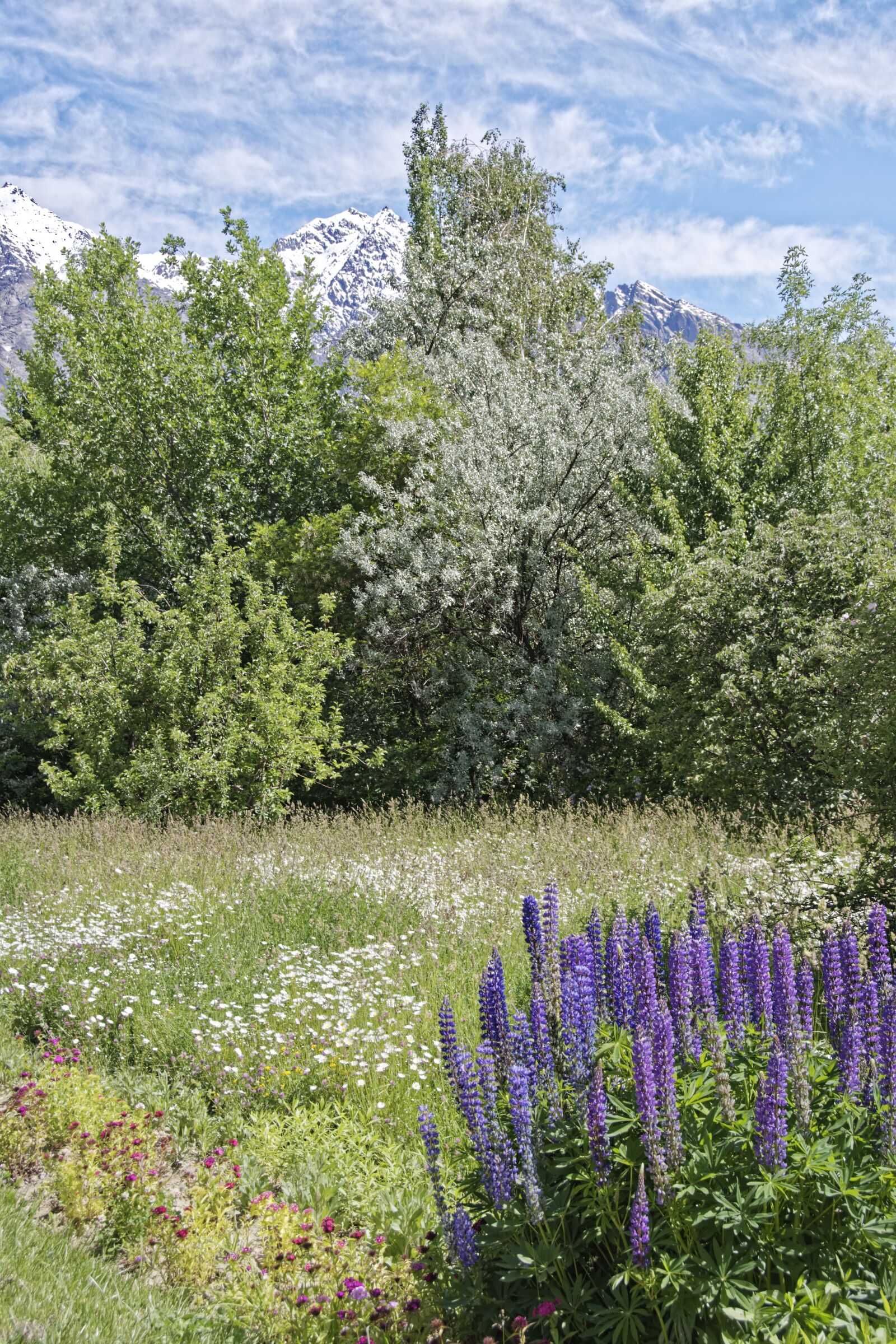 Nikon D500 sample photo. Tajikistan, khorugh, botanical garden photography