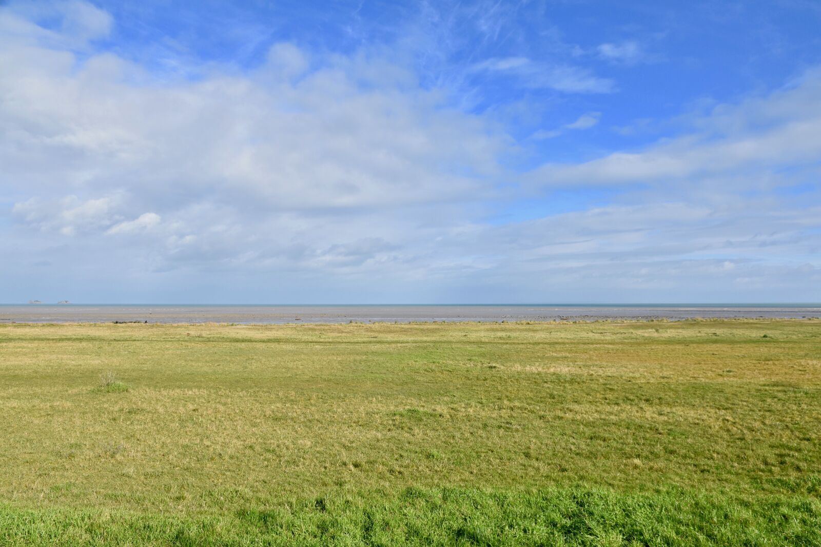Nikon D5600 sample photo. Landscape of nature, panorama photography