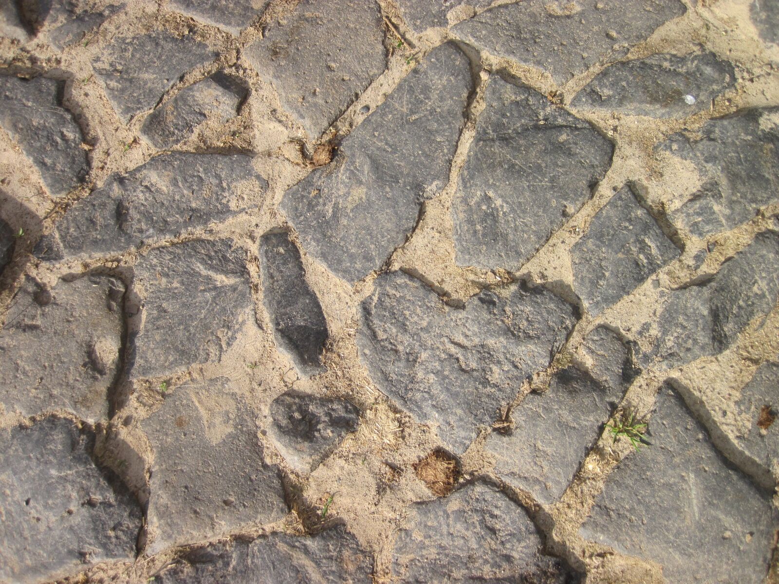 Canon PowerShot D10 sample photo. Heart, paving stones, stones photography