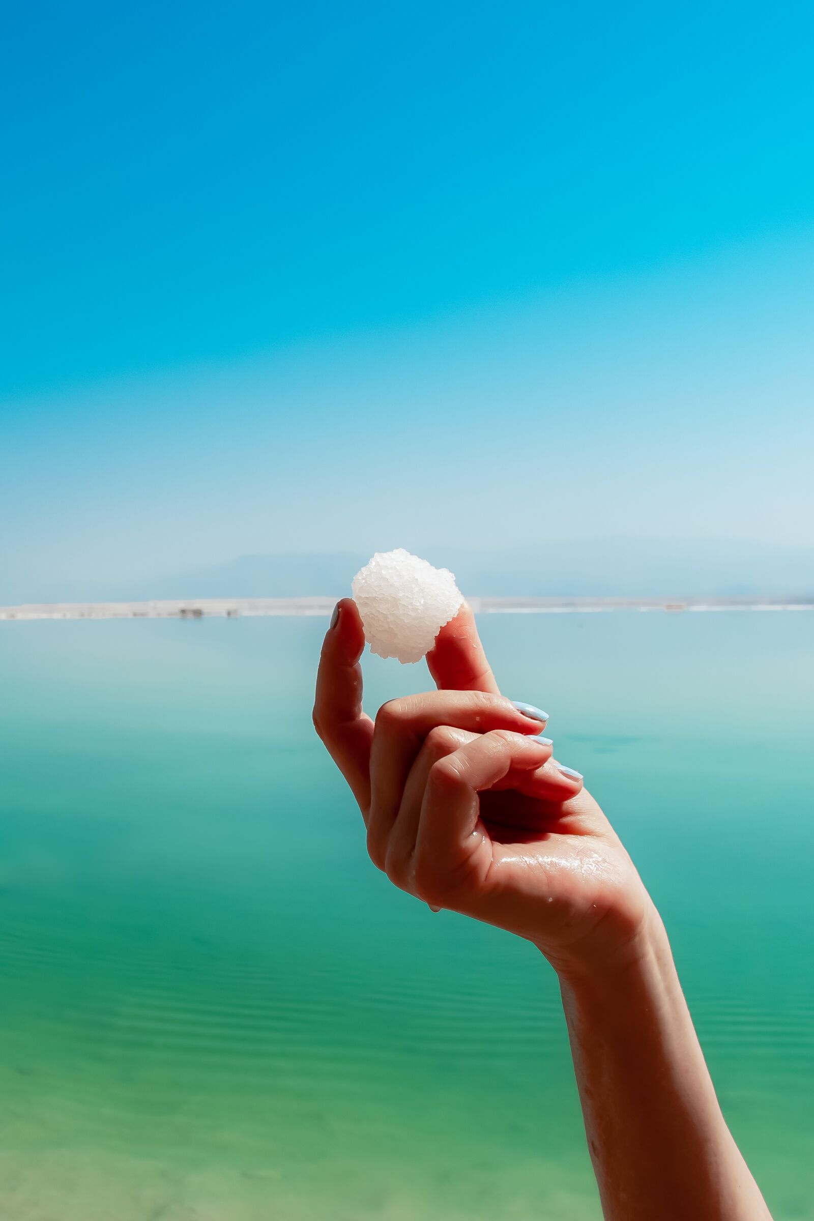 Nikon D5600 sample photo. Dead sea, creature, vacation photography