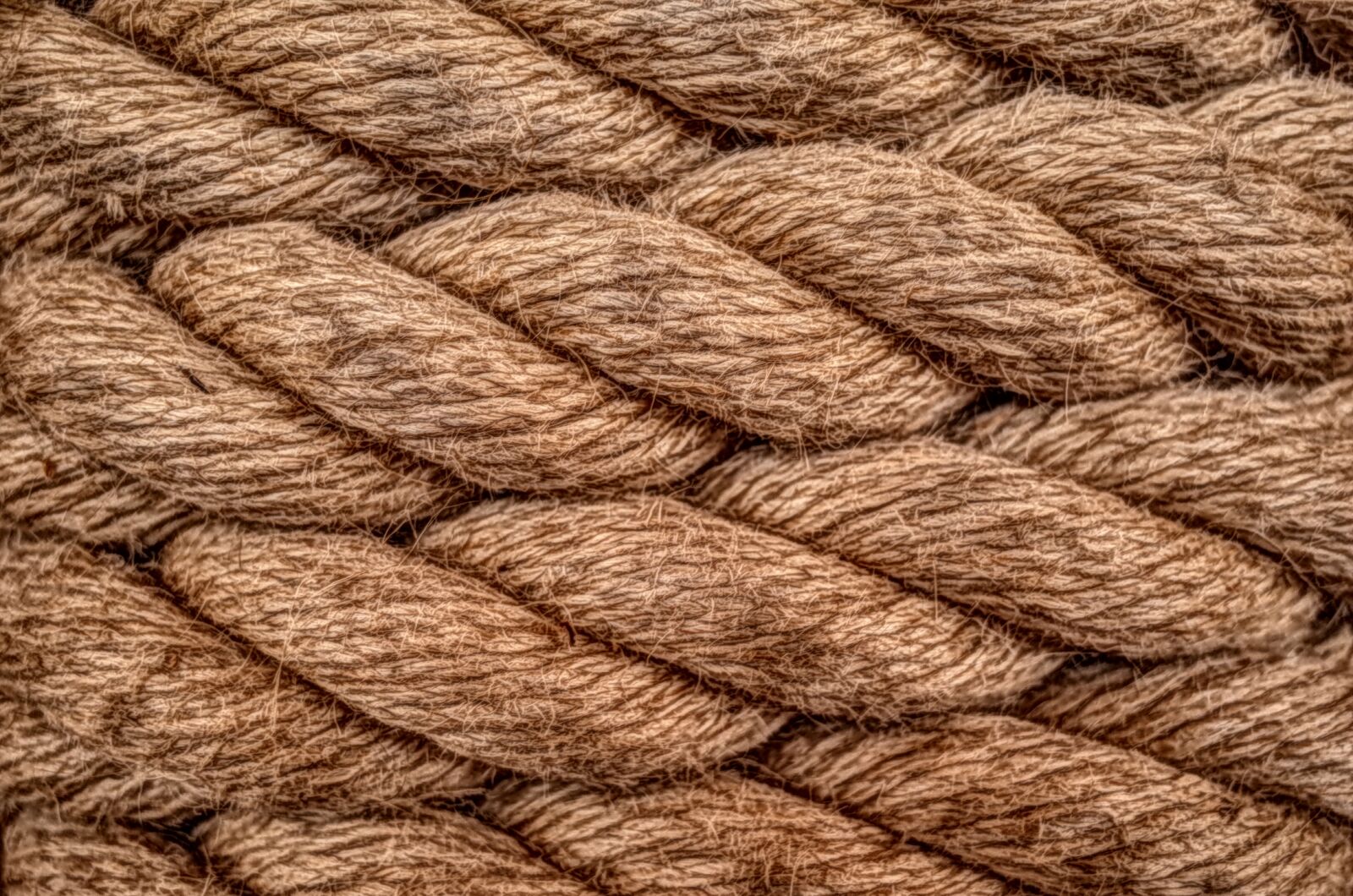 GR Lens sample photo. Rope, texture, old photography