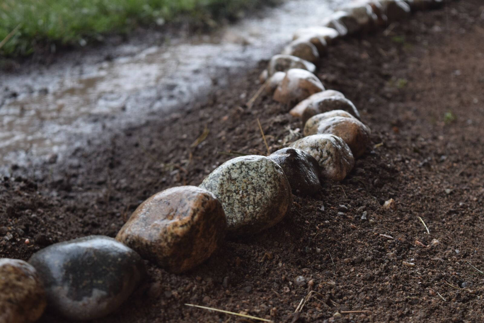 Nikon D3300 sample photo. Rain, rocks, wet photography