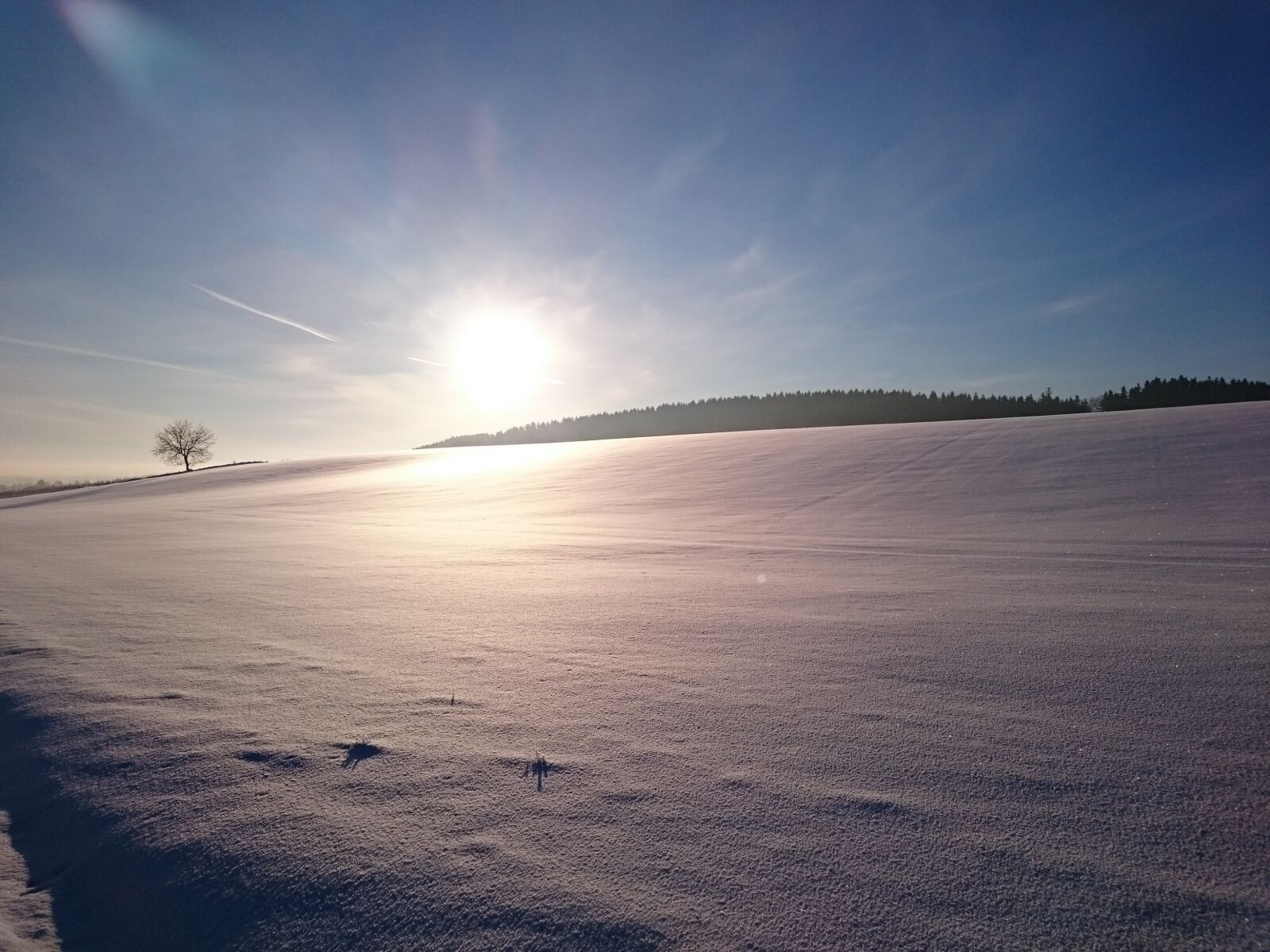 Sony Xperia Z3 sample photo. Sun, winter, cold photography