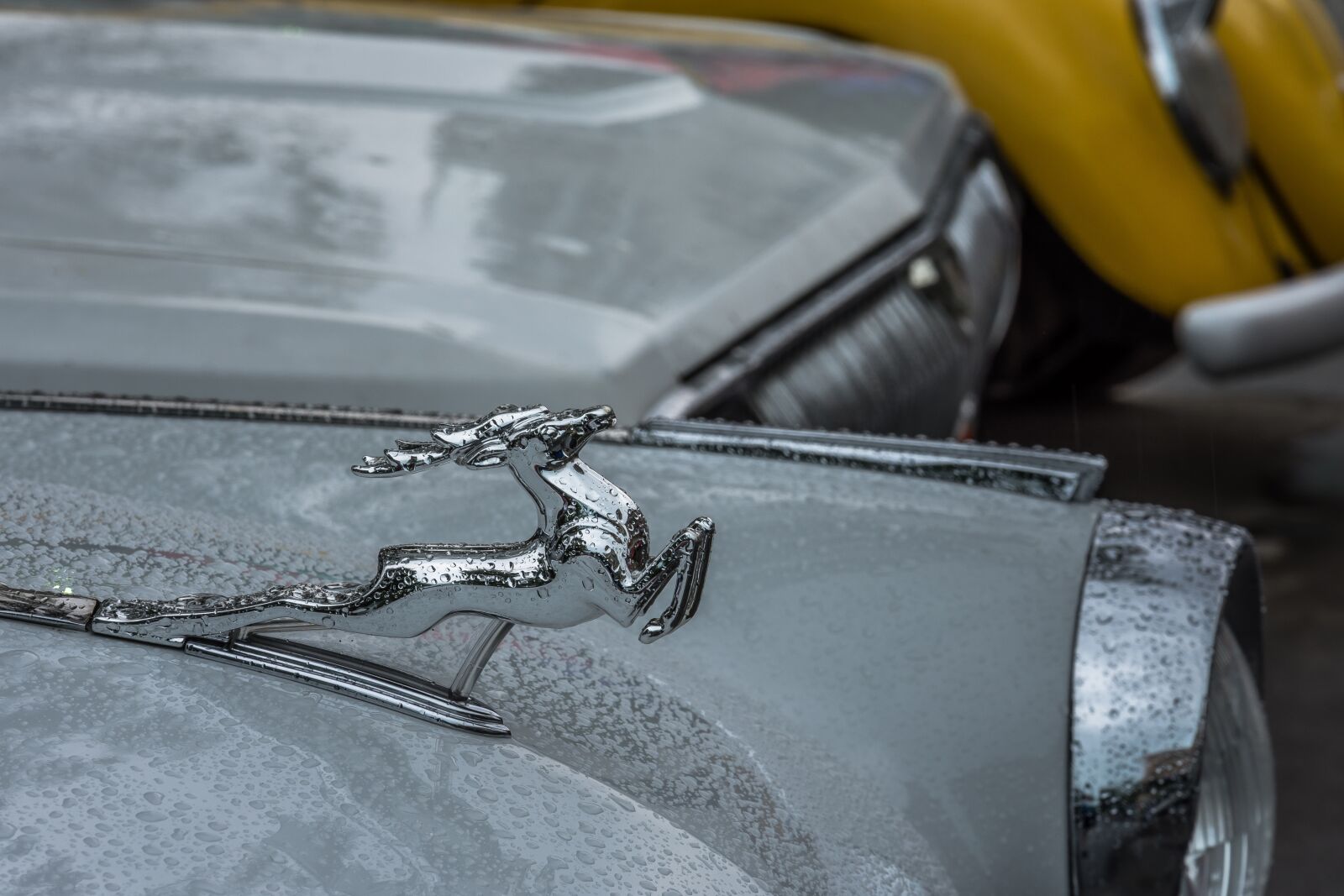 Nikon D7200 sample photo. Volga, retro car, retro photography