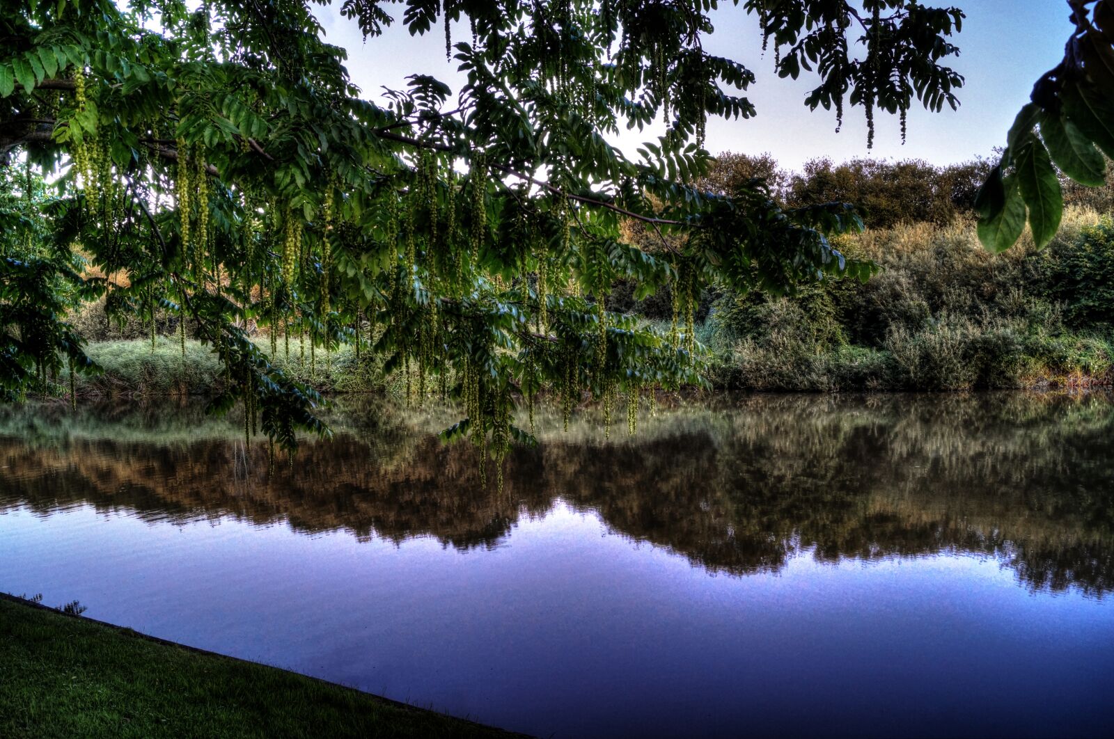 Sony DT 18-55mm F3.5-5.6 SAM II sample photo. Forest, shore, lake photography