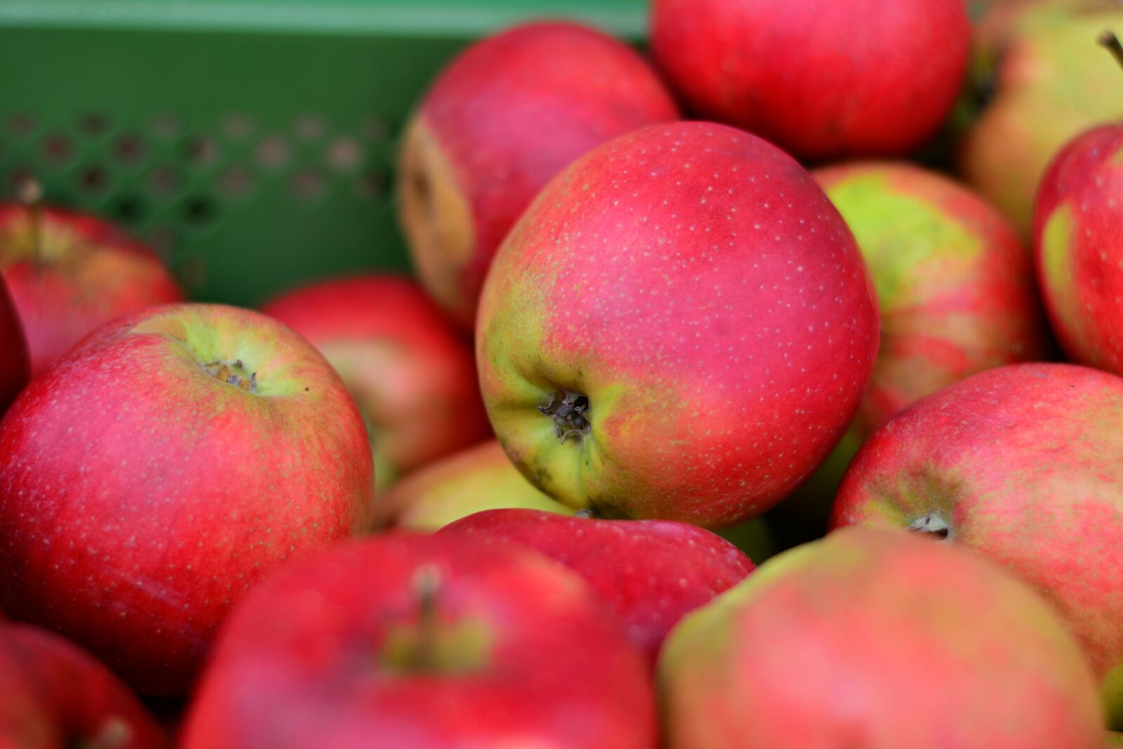 Nikon D5200 sample photo. Apple, red apple, fruit photography
