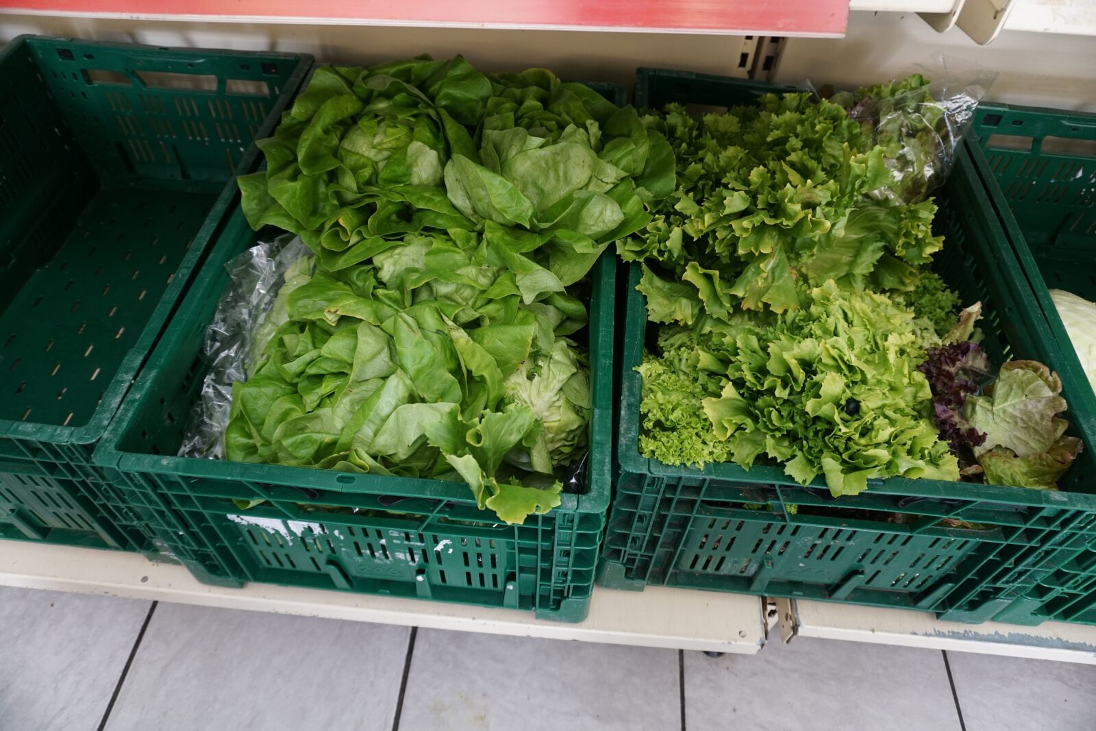 Sony a6000 sample photo. Salads, food, healthy photography
