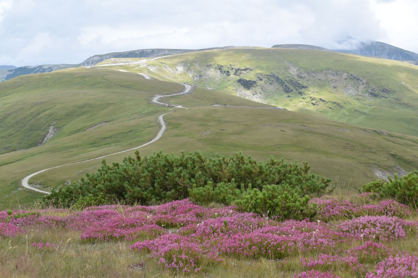 Nikon D5600 sample photo. Alpine road, mountain path photography