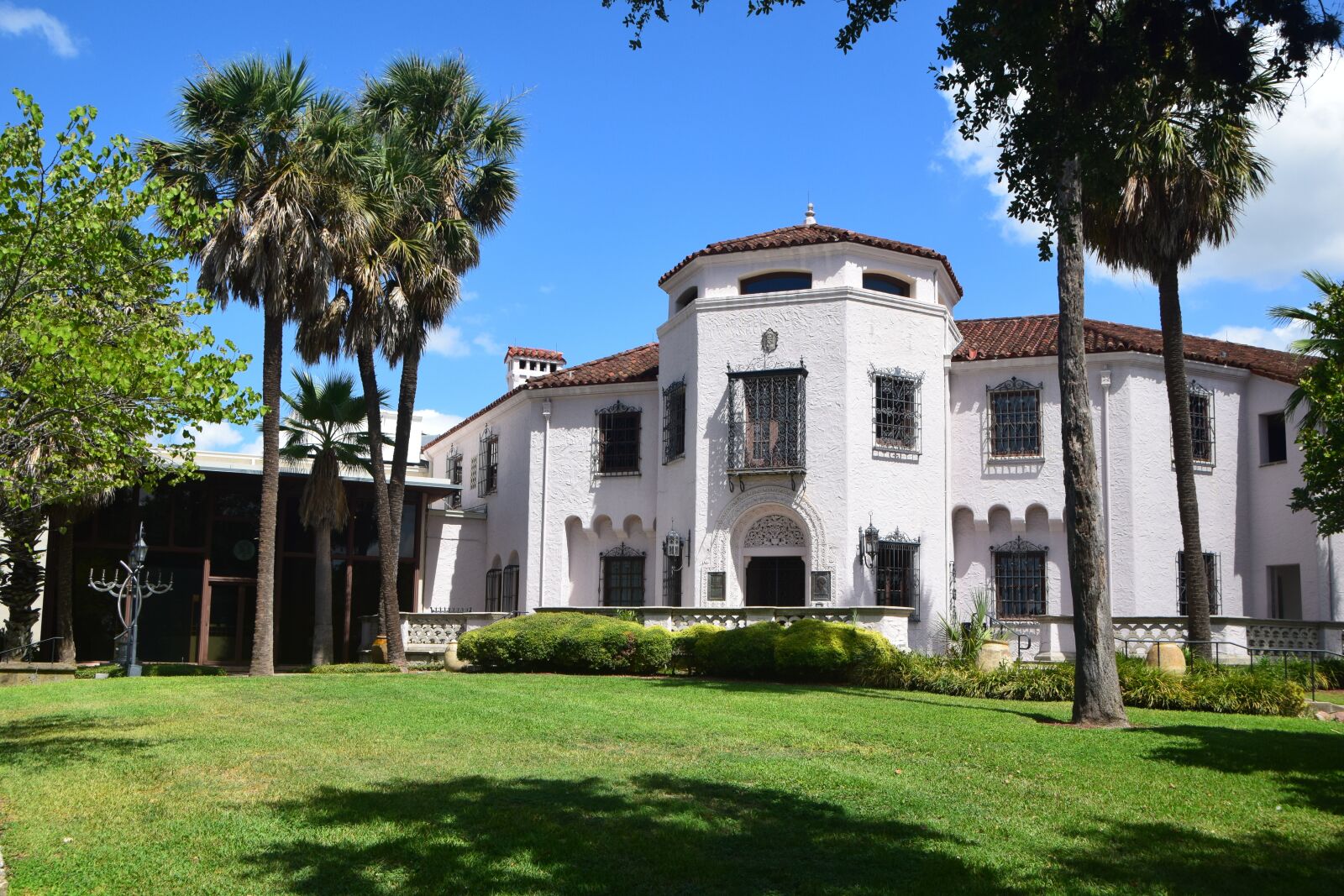 Nikon D5300 sample photo. Mcnay, art, museum photography