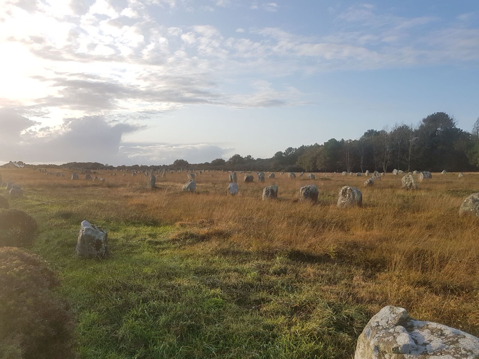 Samsung Galaxy S7 Edge sample photo. Tarnac, stones, bronze age photography
