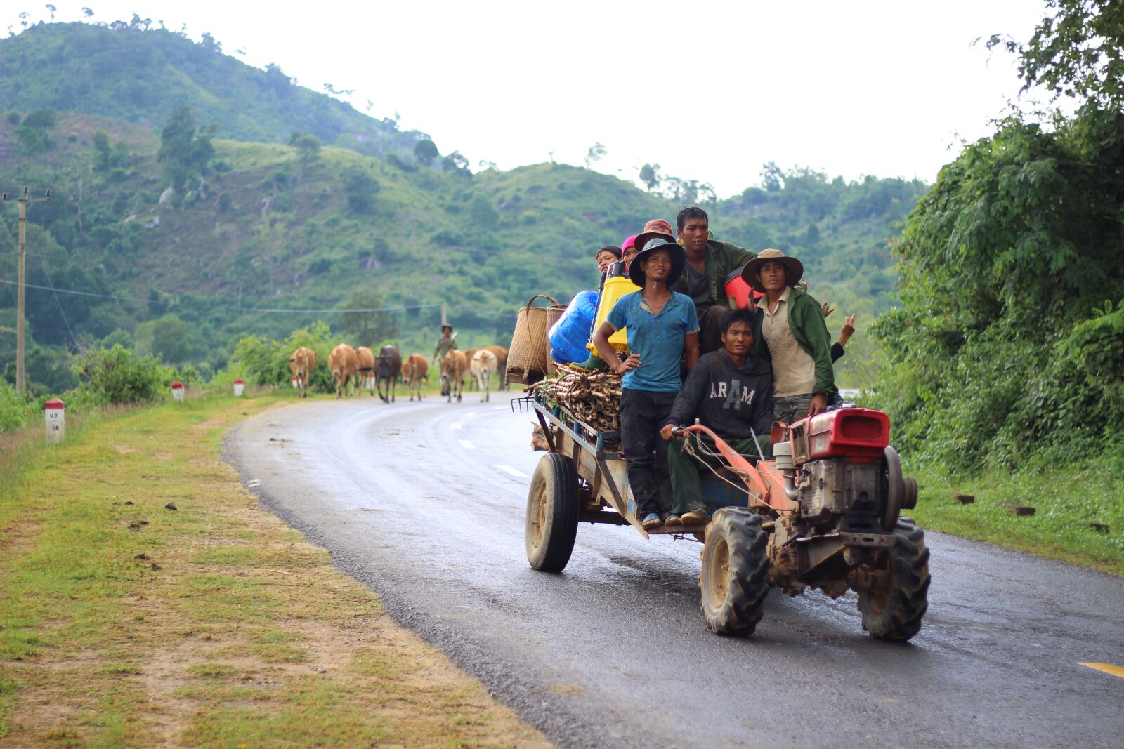 Canon EOS 600D (Rebel EOS T3i / EOS Kiss X5) sample photo. Highlands, car cow, the photography