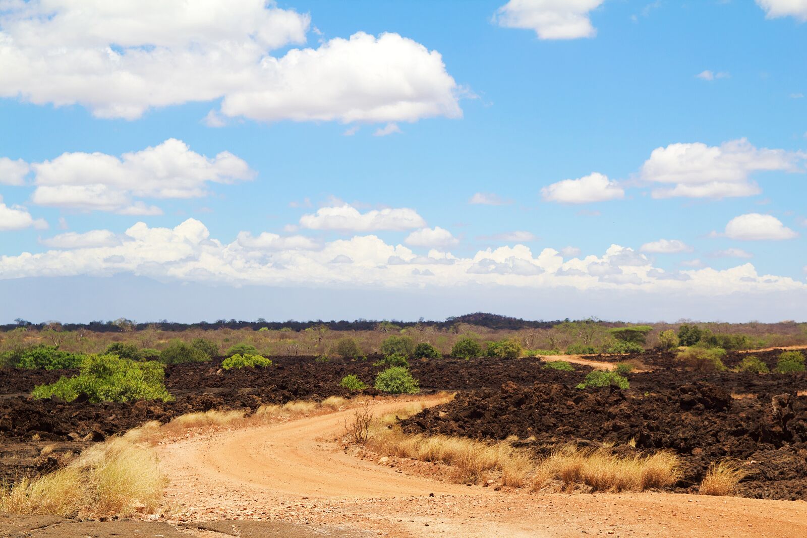 Canon EOS 600D (Rebel EOS T3i / EOS Kiss X5) sample photo. Africa, kenya, safari photography