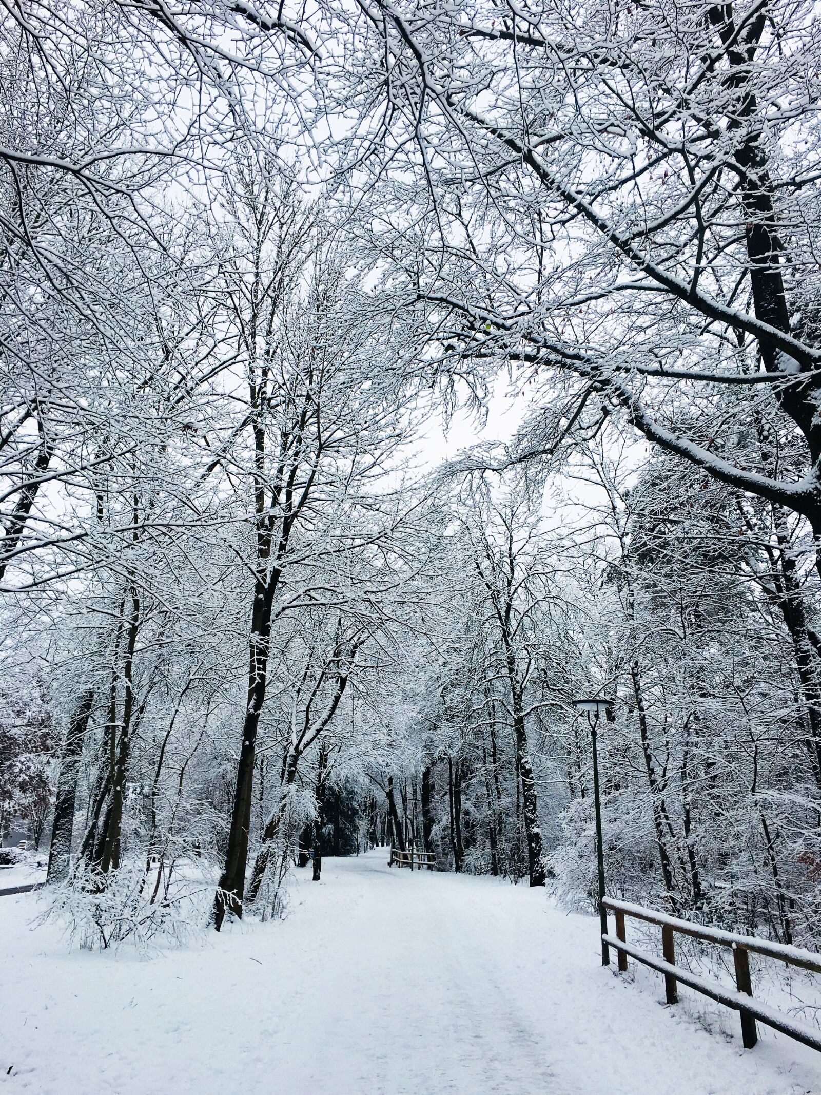 Apple iPhone 6s Plus sample photo. Winter, snow, cold photography