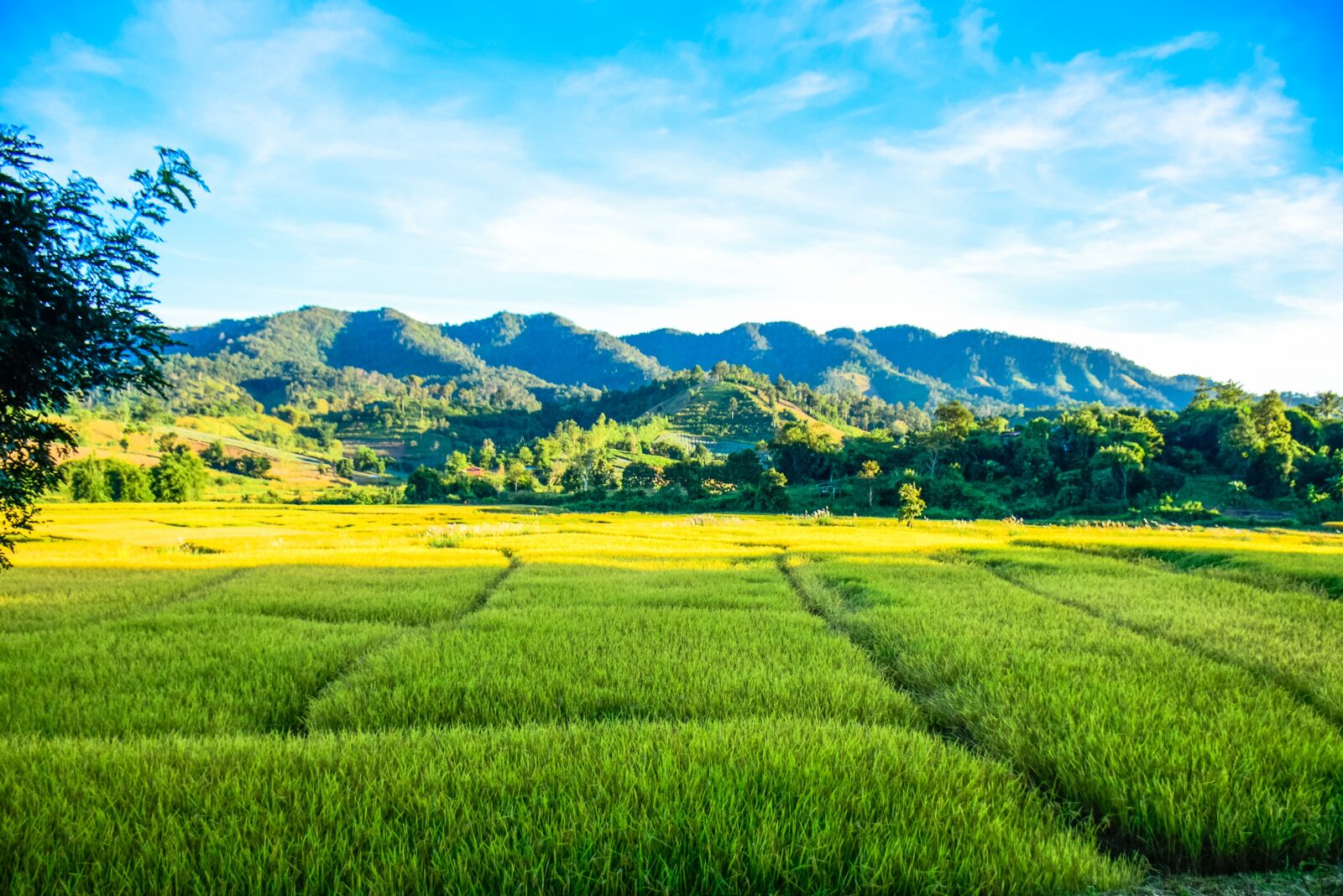 Nikon D5300 sample photo. Farmland, land, field photography
