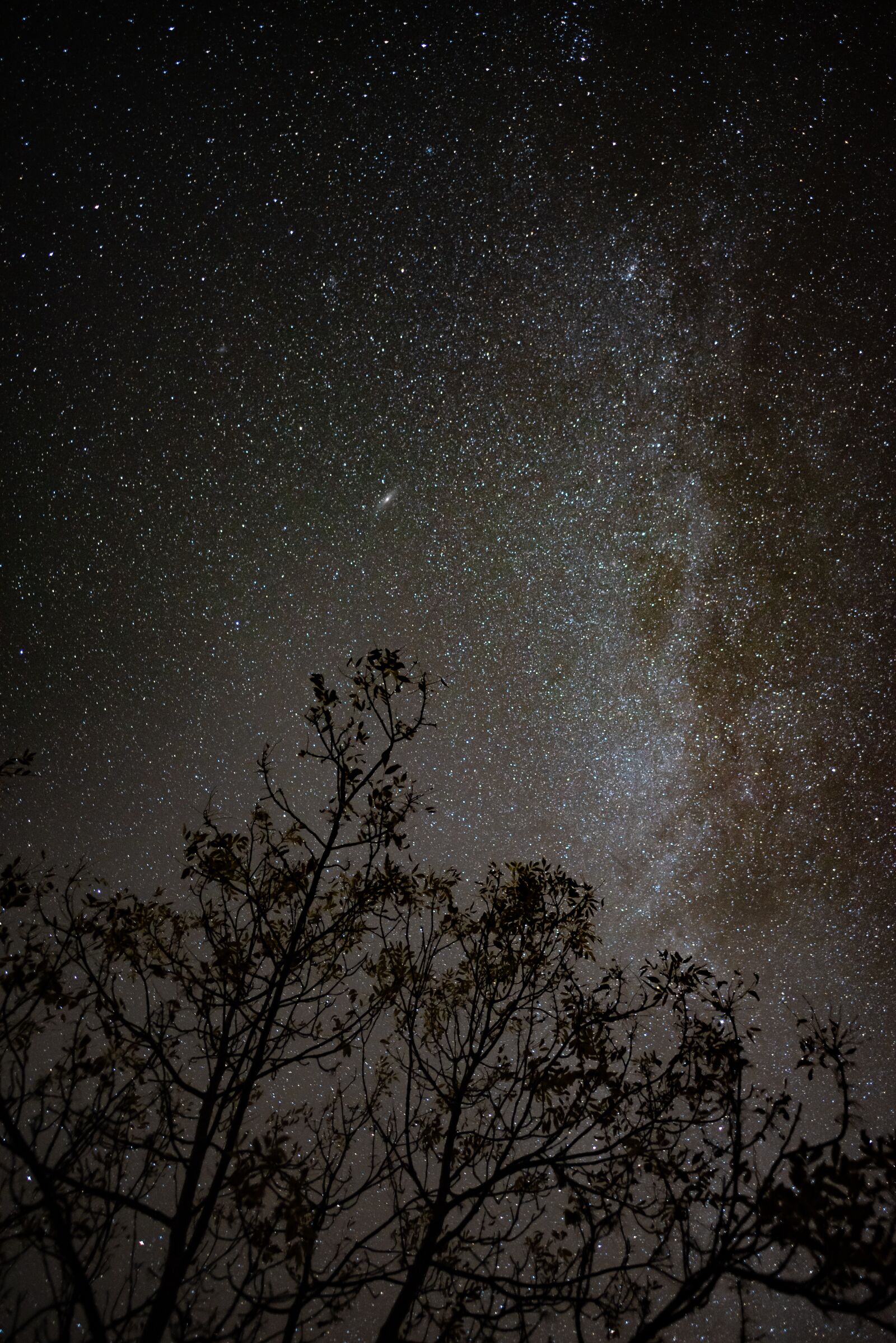 Nikon D750 sample photo. Milky way, galaxy, universe photography