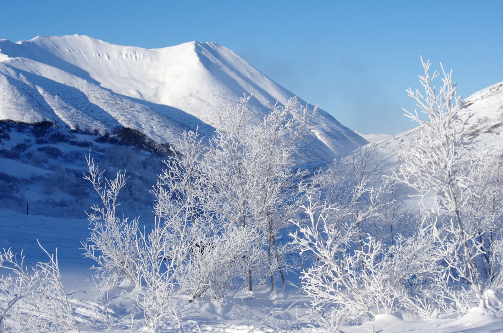Pentax K-5 sample photo. Mountains, forest, winter photography