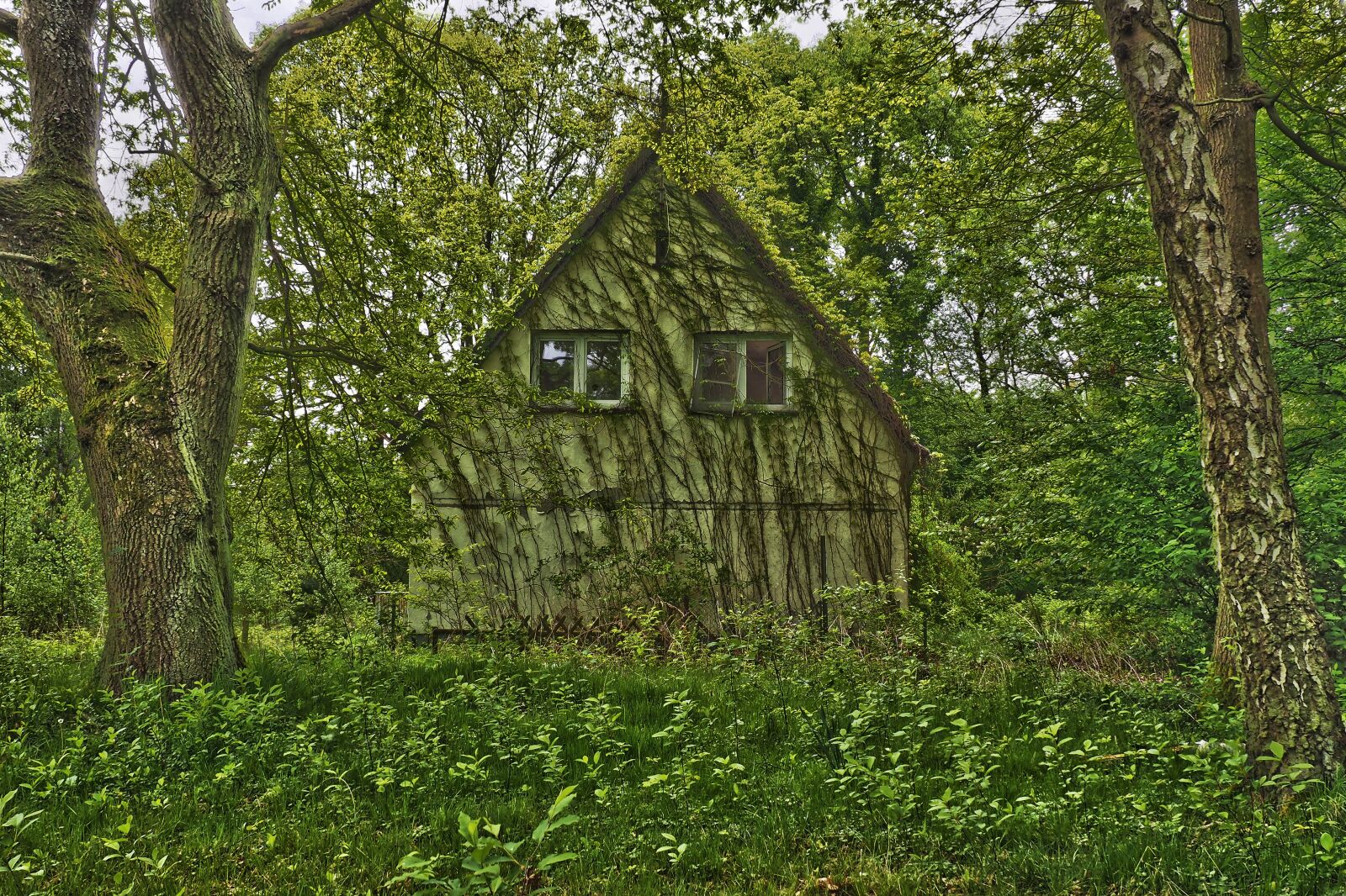 Olympus OM-D E-M10 sample photo. Lost places, house, abandoned photography