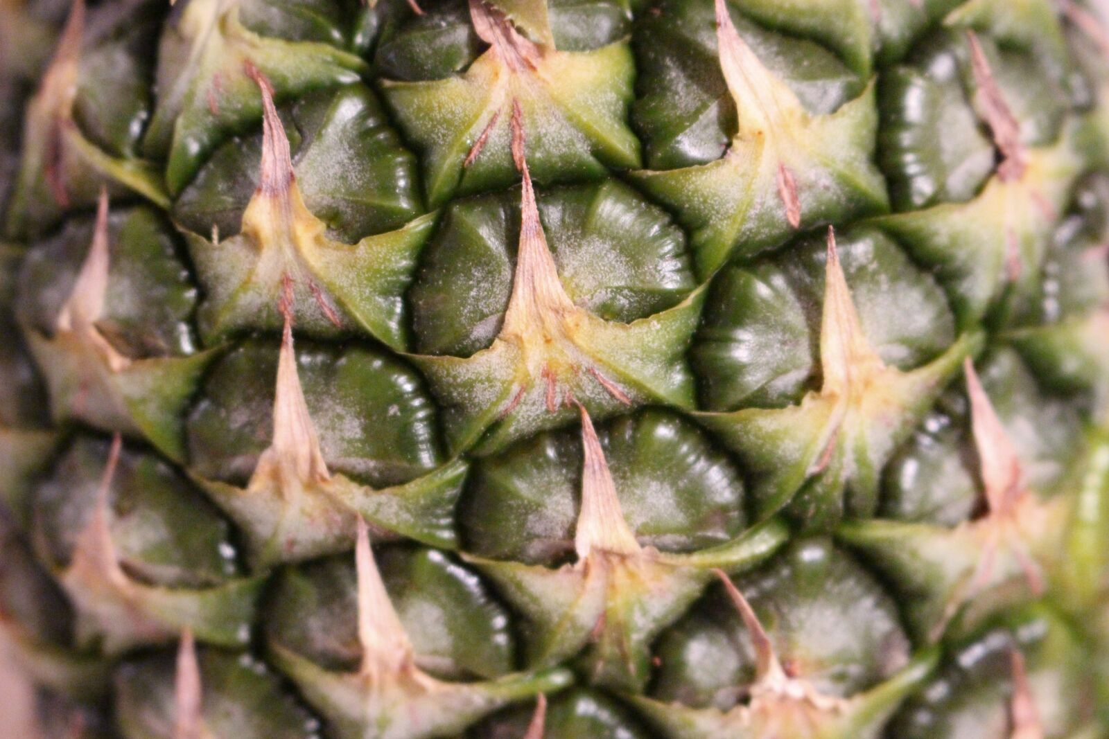 Canon EOS 100D (EOS Rebel SL1 / EOS Kiss X7) sample photo. Fruit, pineapple, exotic fruits photography