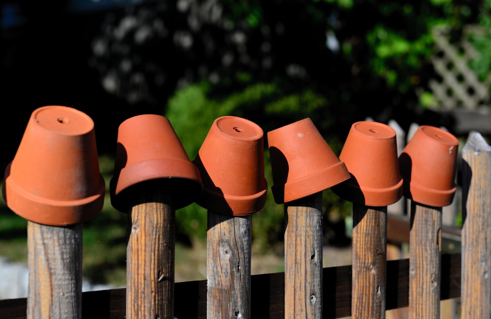 Nikon D610 sample photo. Garden fence, flower pots photography