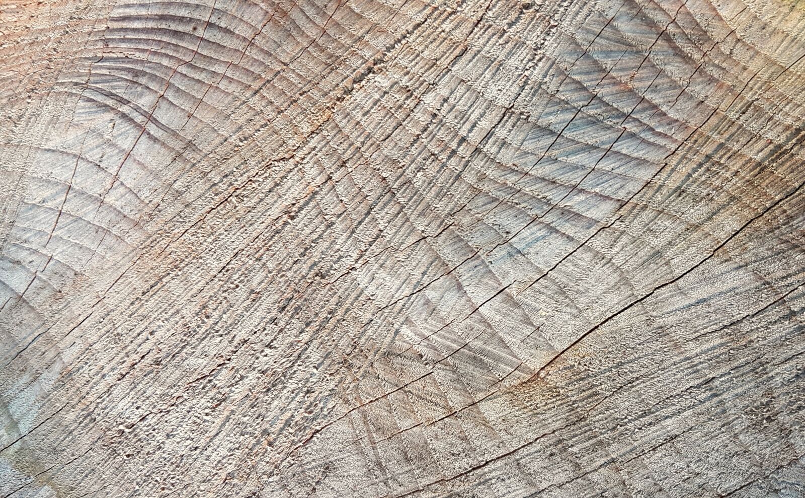 Samsung Galaxy S7 sample photo. Texture, background, wood photography