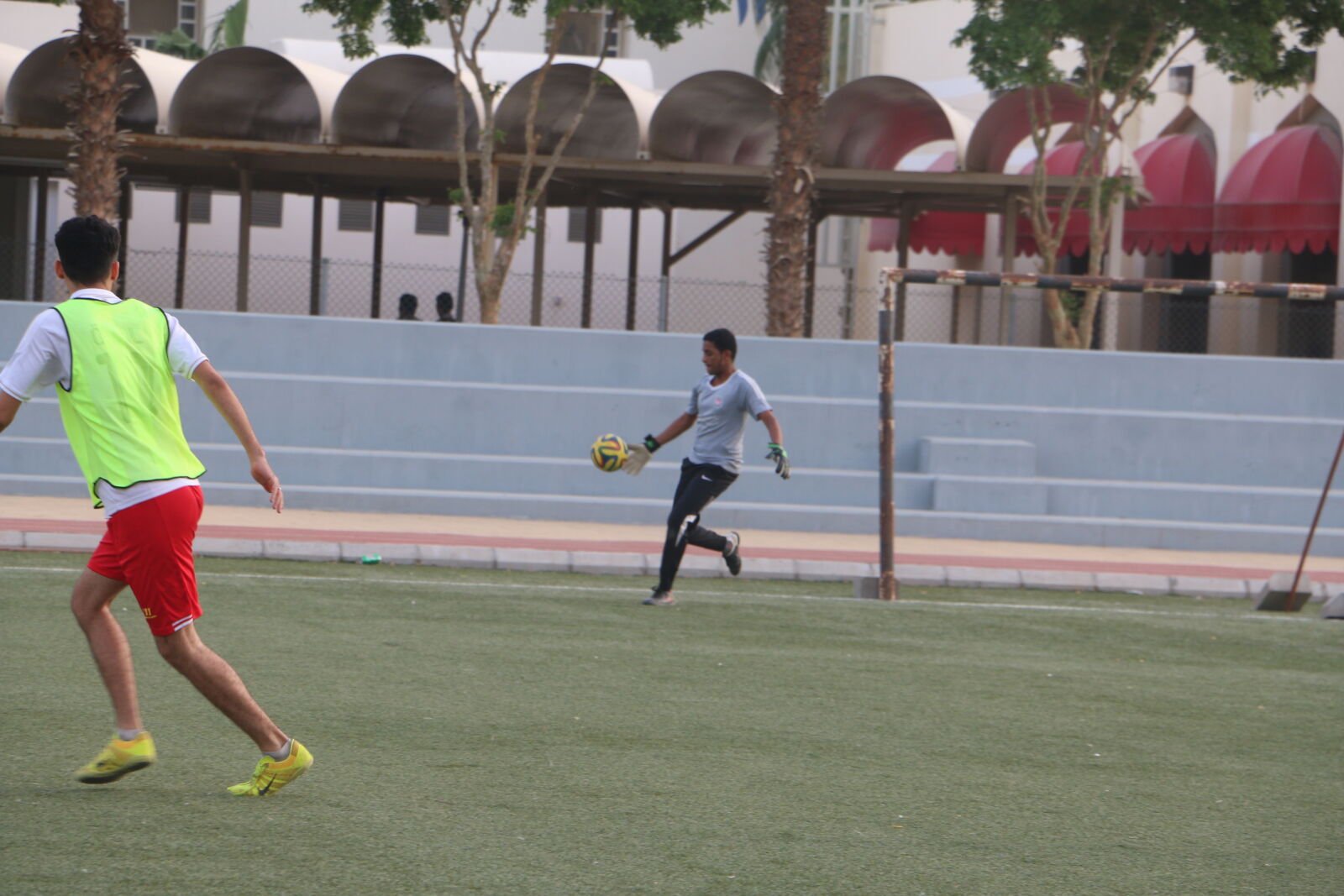 Canon EOS 70D sample photo