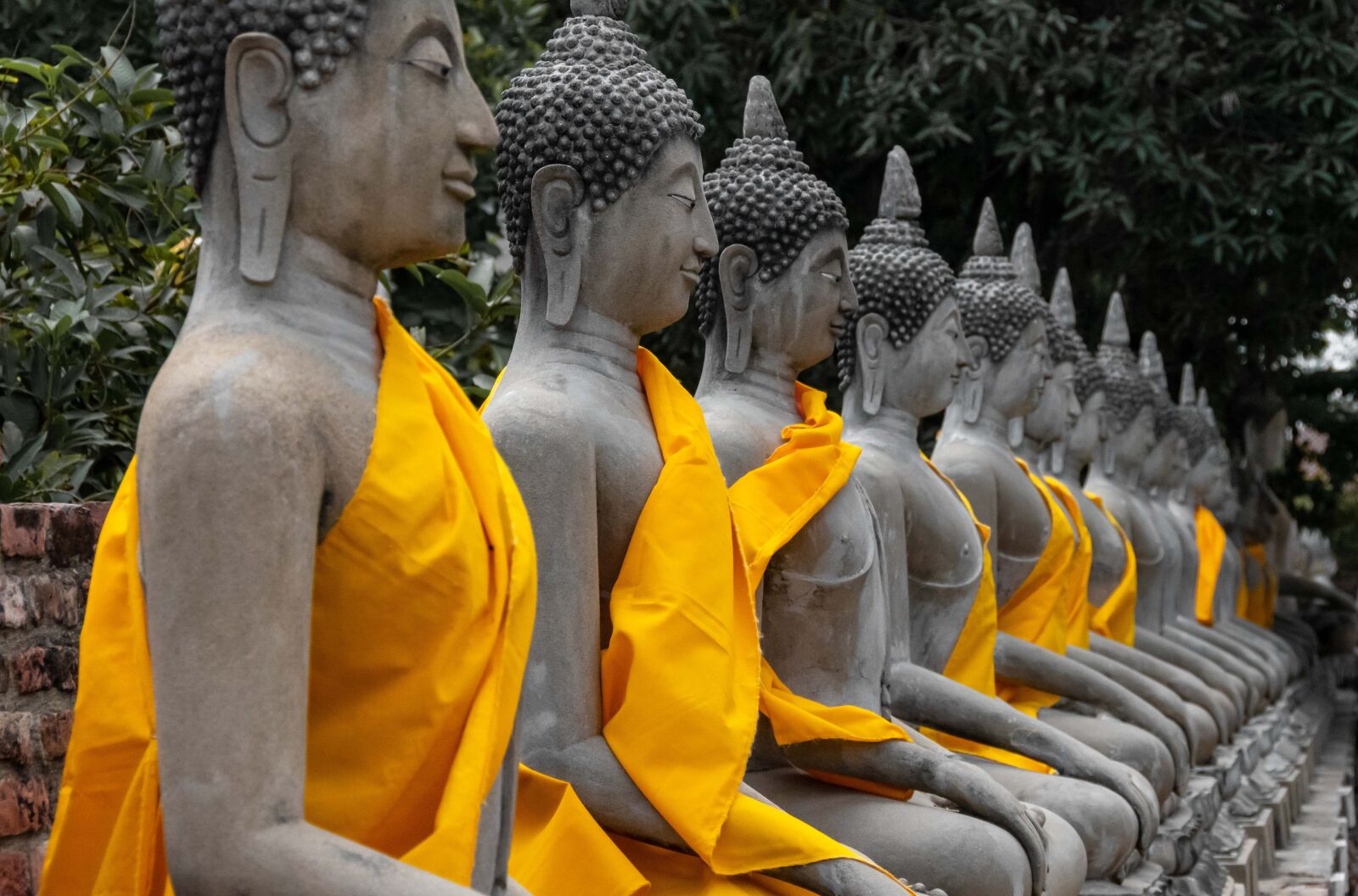 Nikon D5600 sample photo. Buddha, statue, meditation photography
