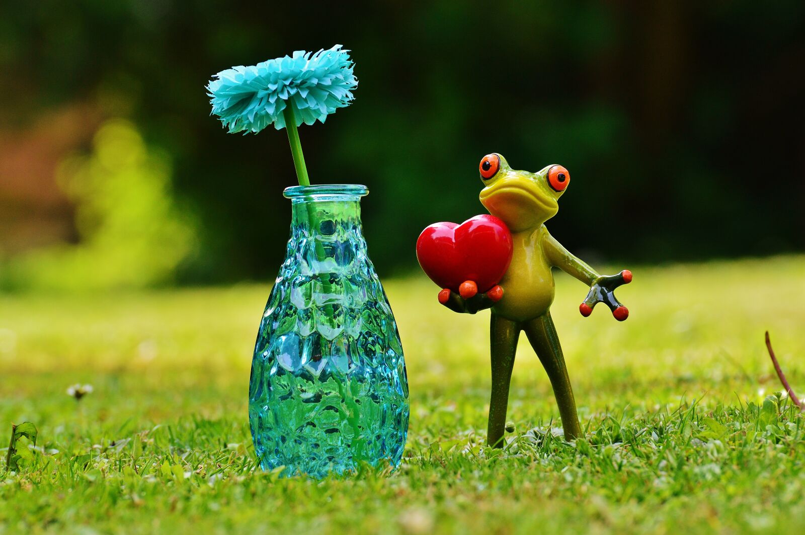 Nikon D3200 sample photo. Frog, love, valentine's day photography