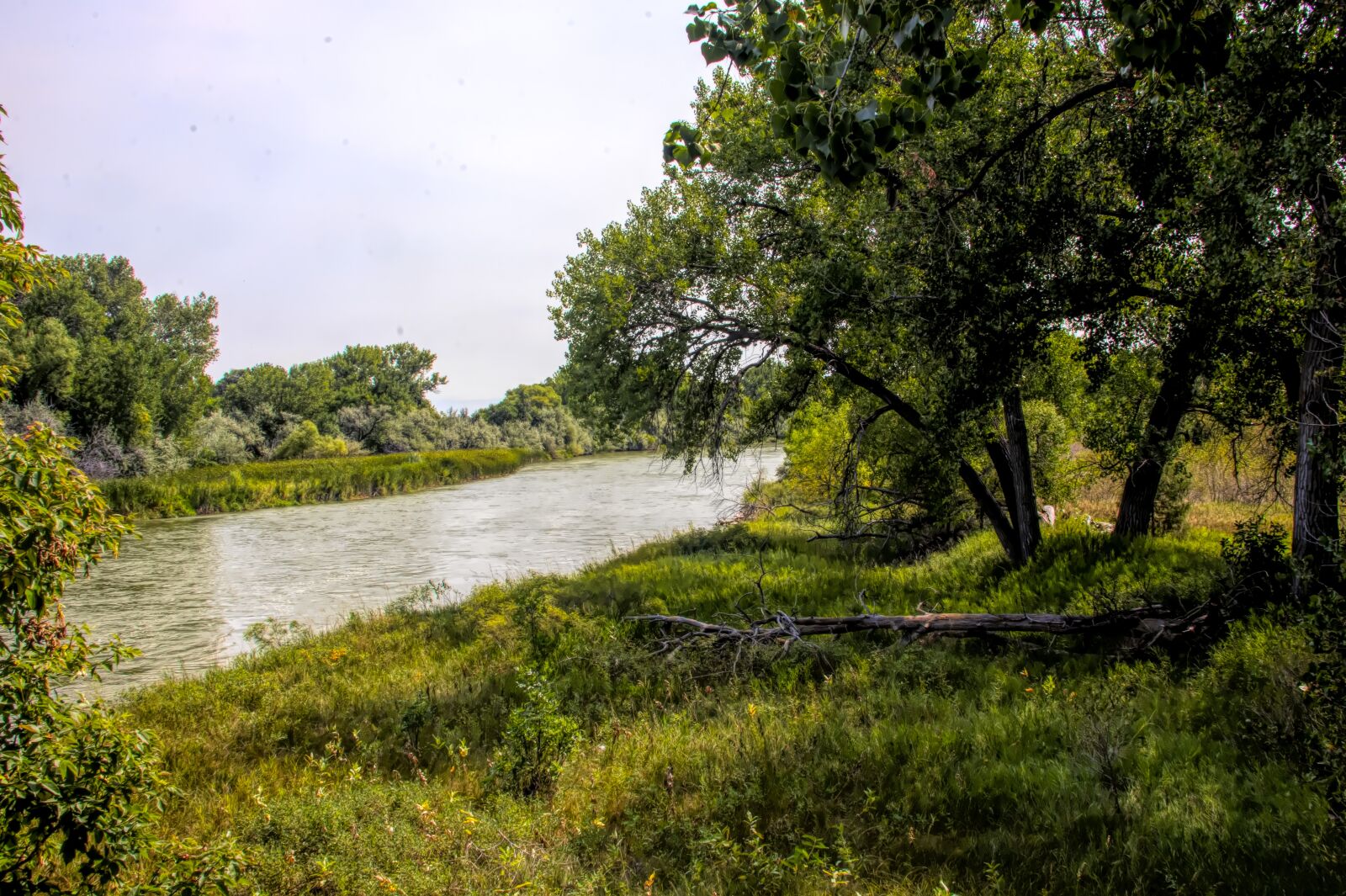 Nikon D850 sample photo. River, water, waterway photography