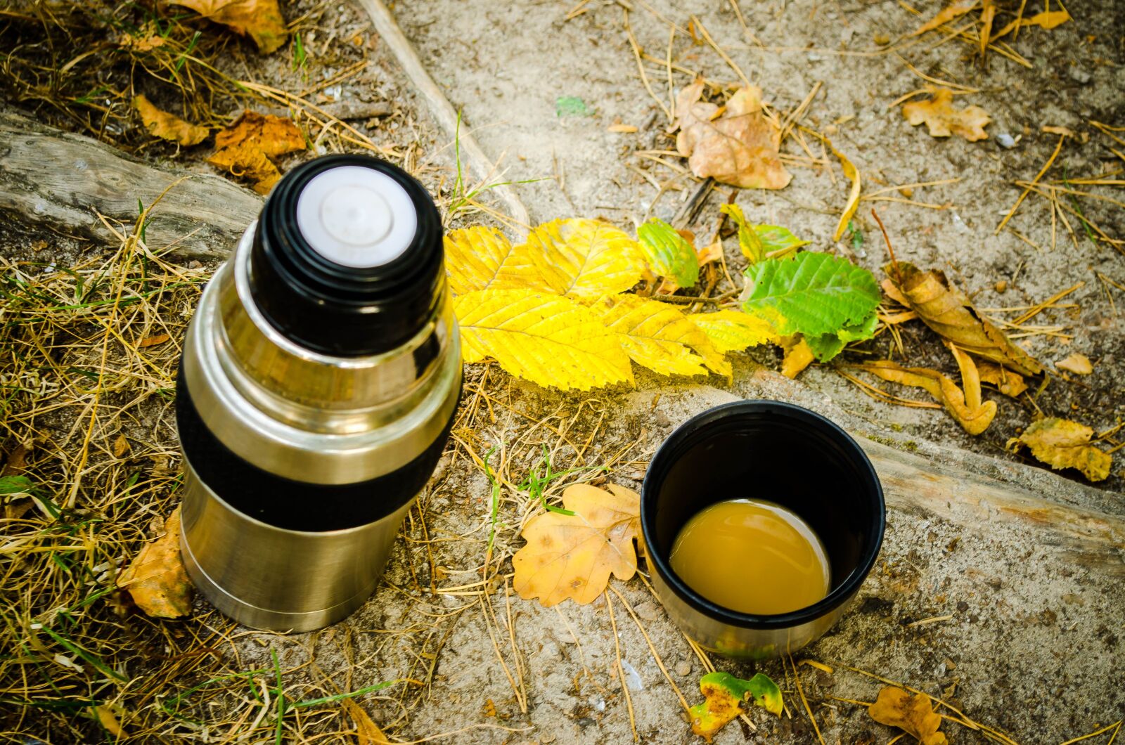 Nikon D5100 sample photo. Thermos, autumn, stroll photography
