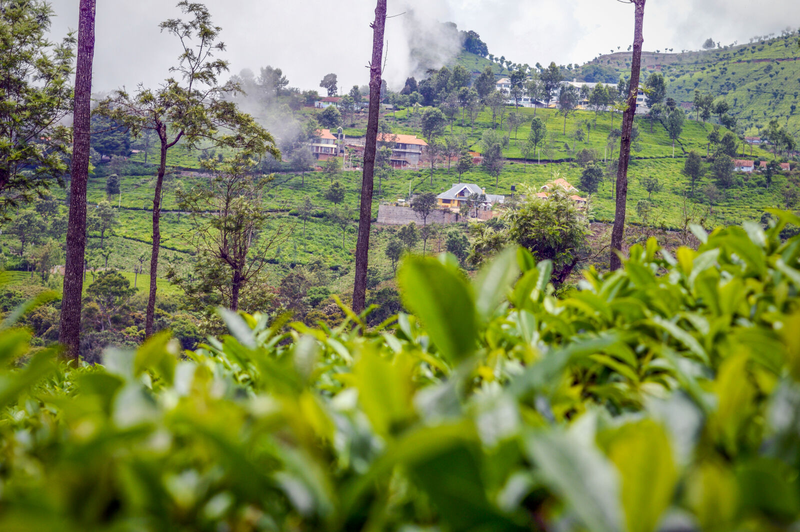 Nikon D3200 sample photo. Awesome, blue, mountains, green photography