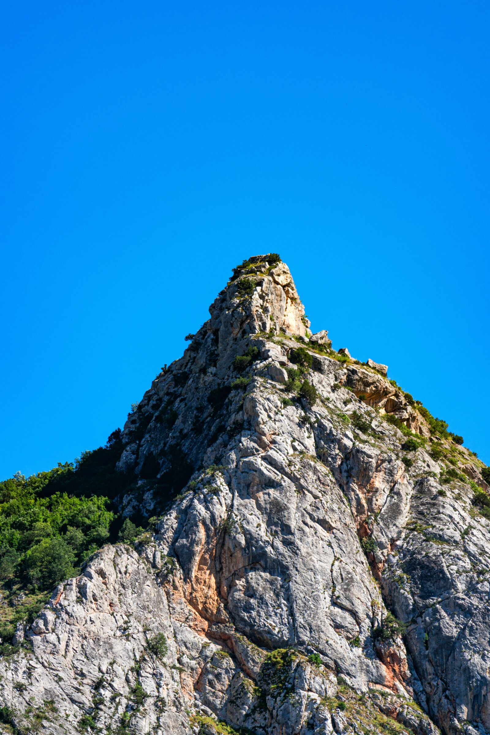Samsung NX 50-200mm F4-5.6 ED OIS sample photo